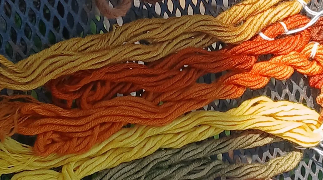 July 25–26, 2026 | Mushroom Dyeing on Silk with Tonya Pettit