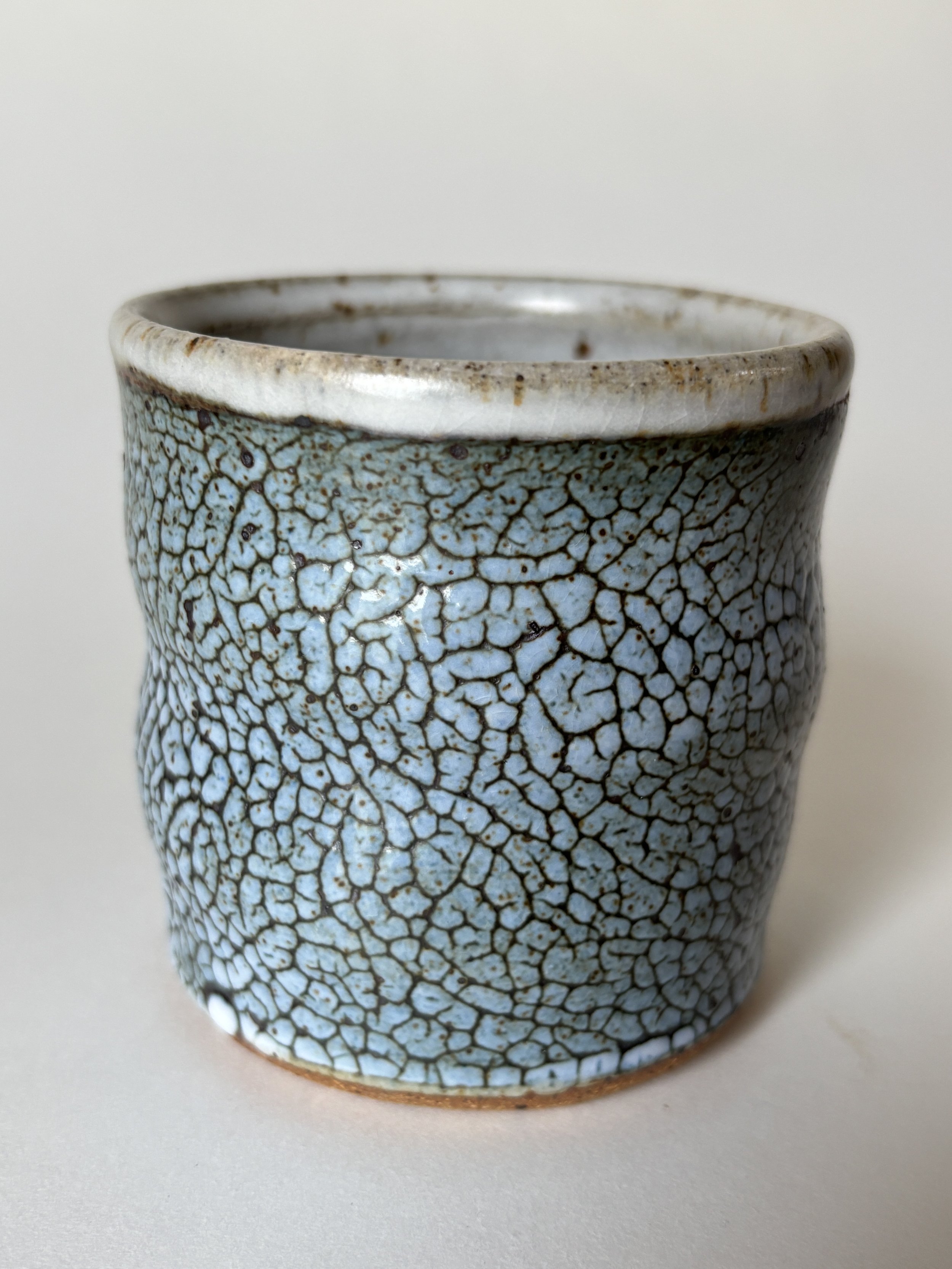 Crackle Tumbler
