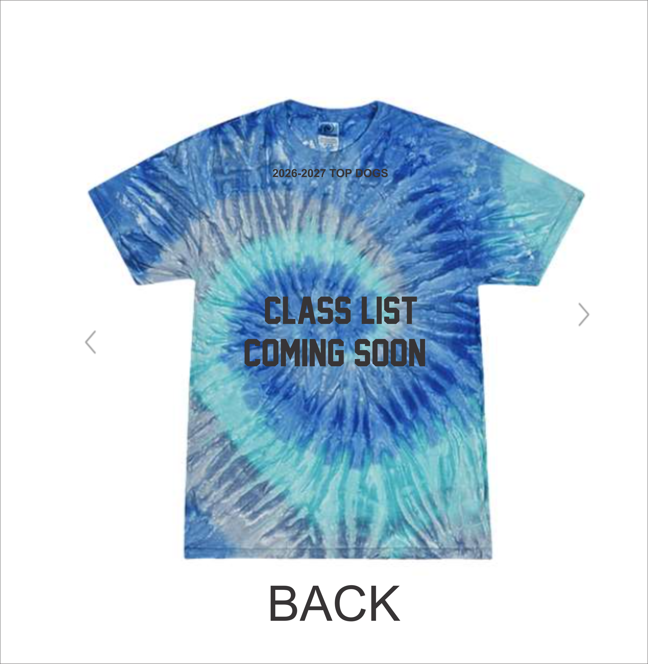 5th grade shirt back.png