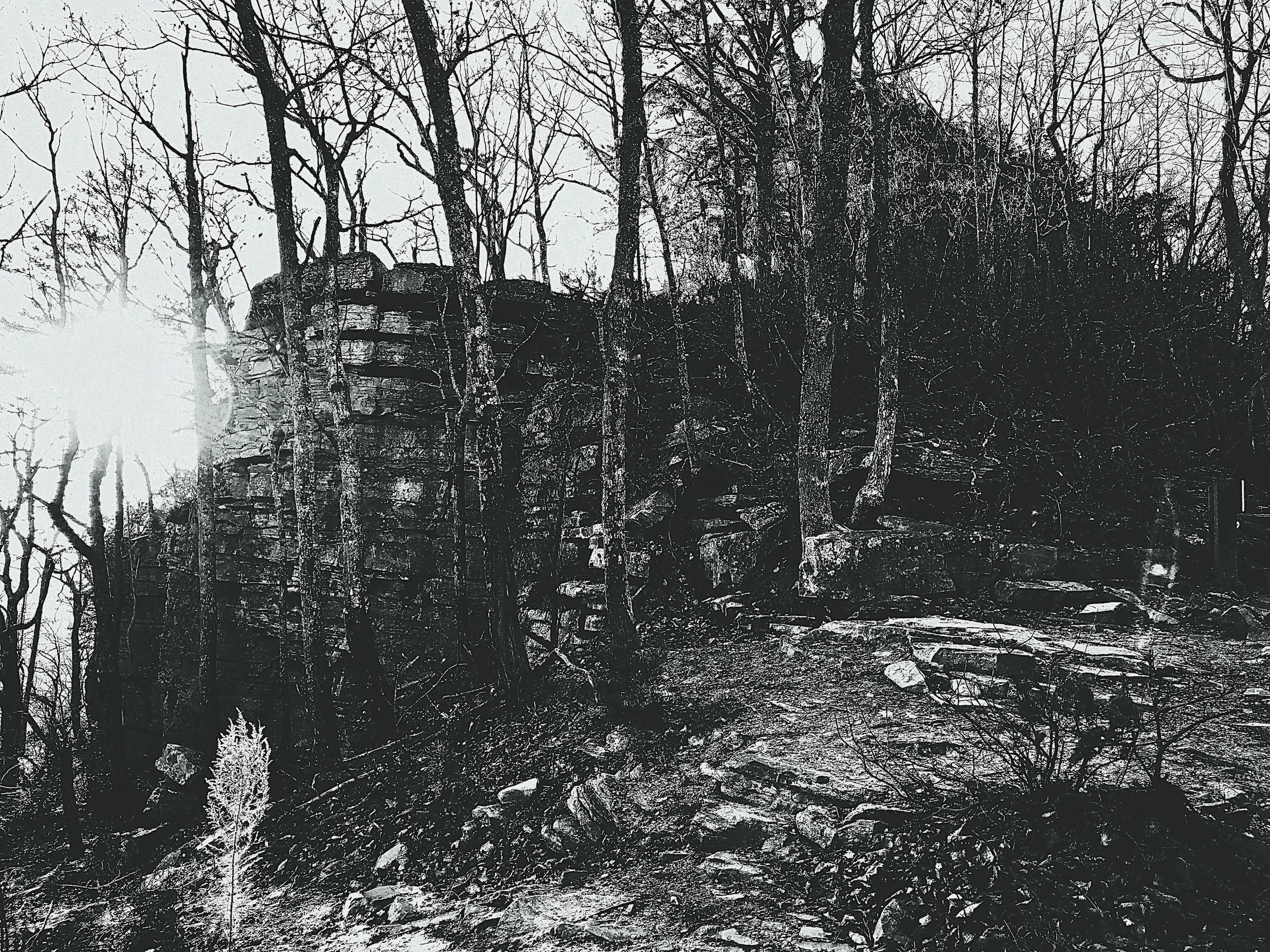 Pilot Mountain - bw.jpg