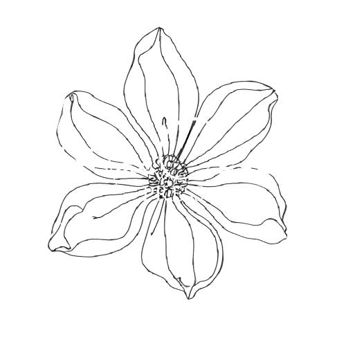 MaeCarol Press