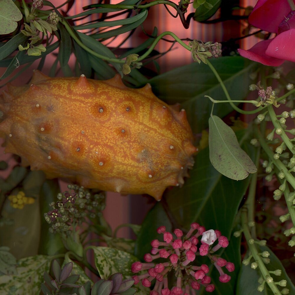 Anna Skladmann: Scanning Nature