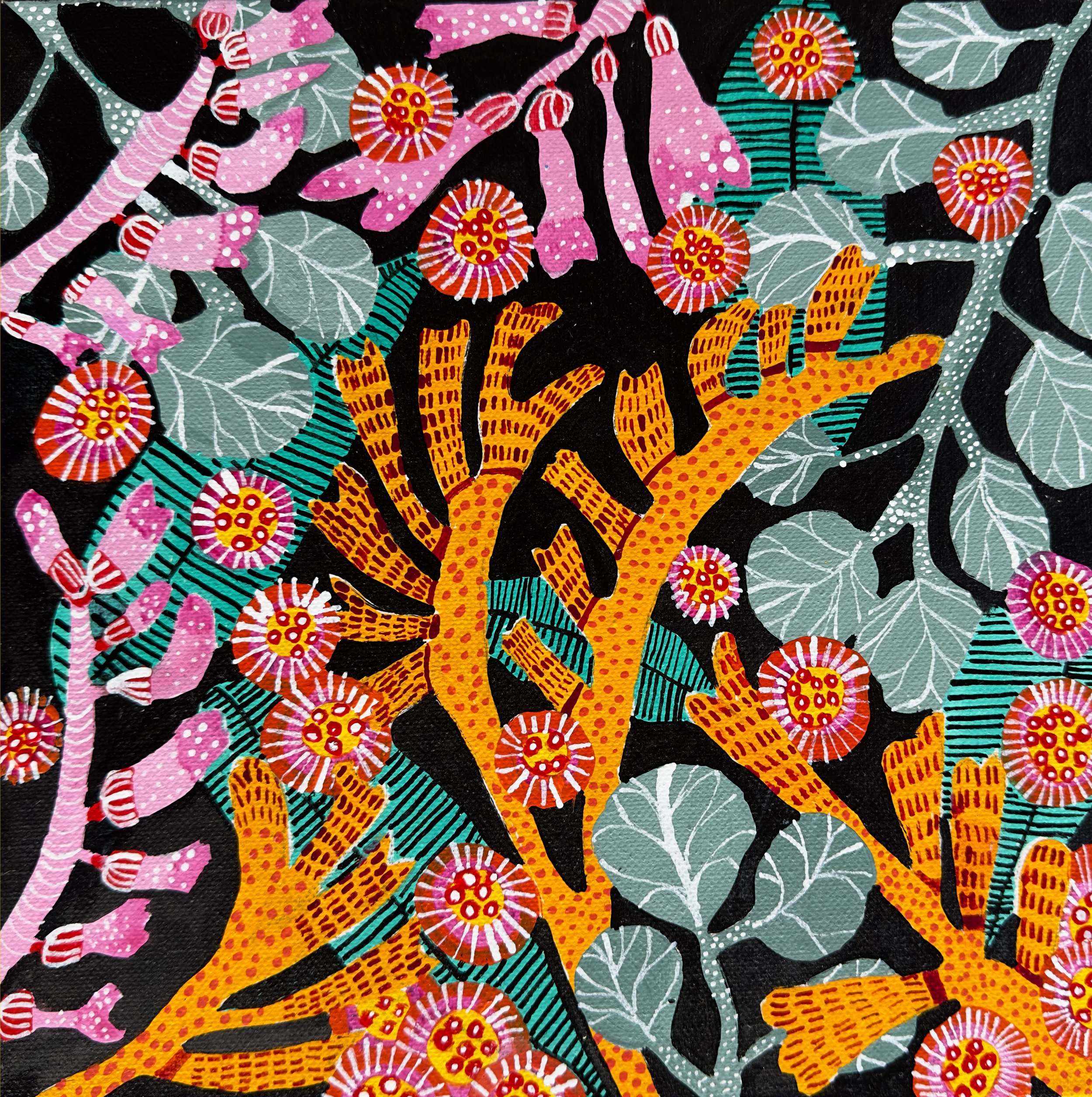 Kangaroo Paws