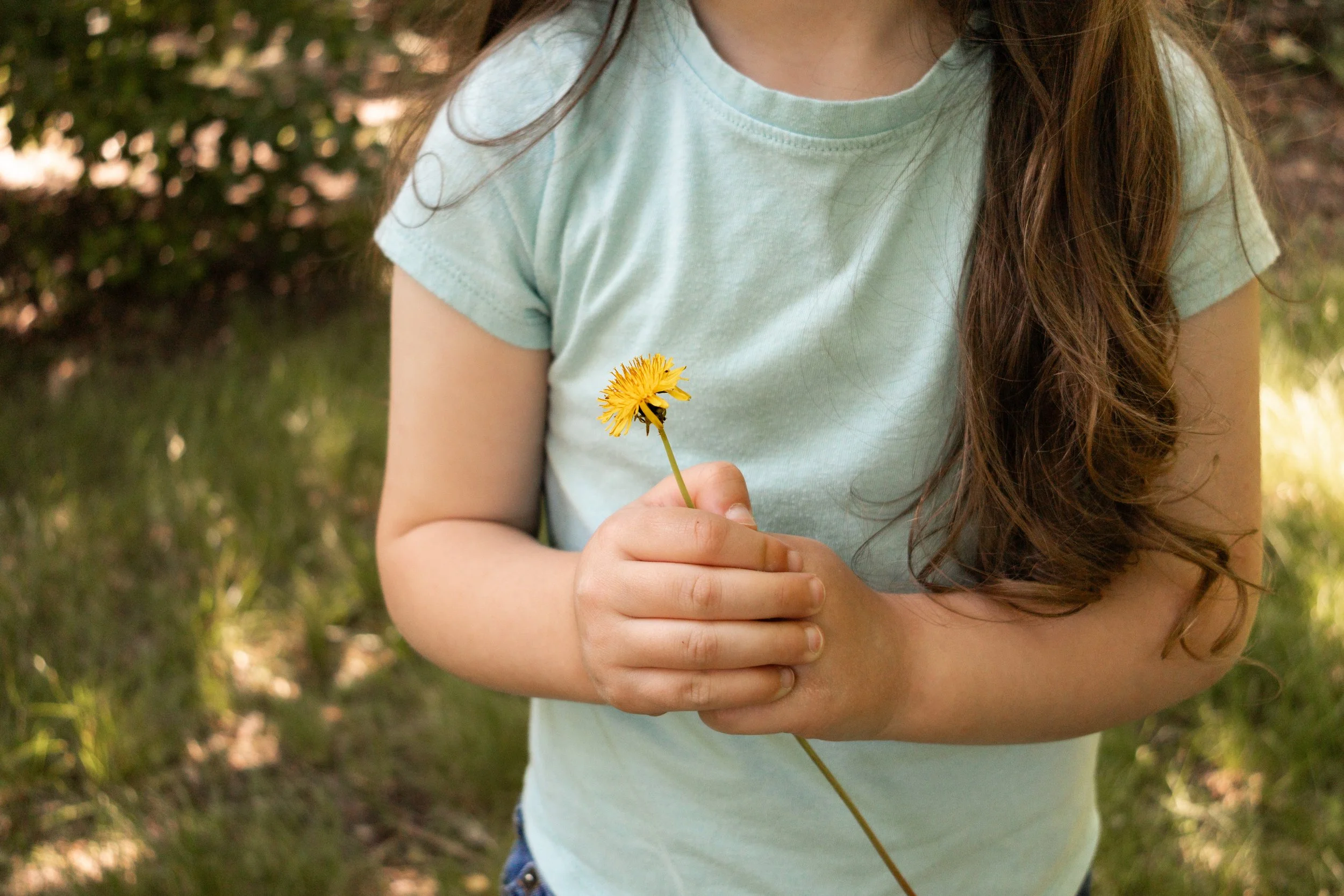 best locations for family photos this summer in wichita, ks