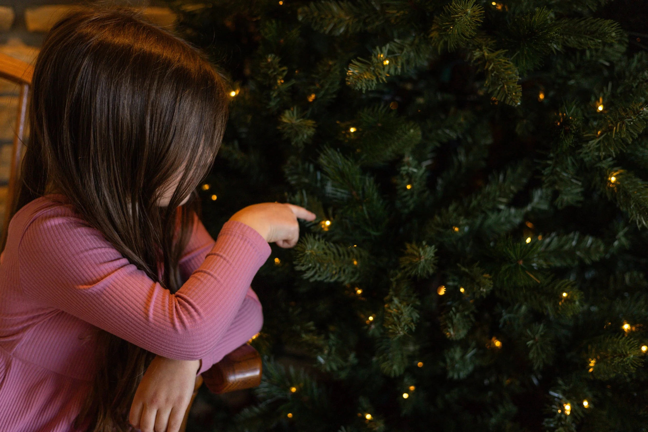 AUMC Christmas Mini Test Images-1.jpeg