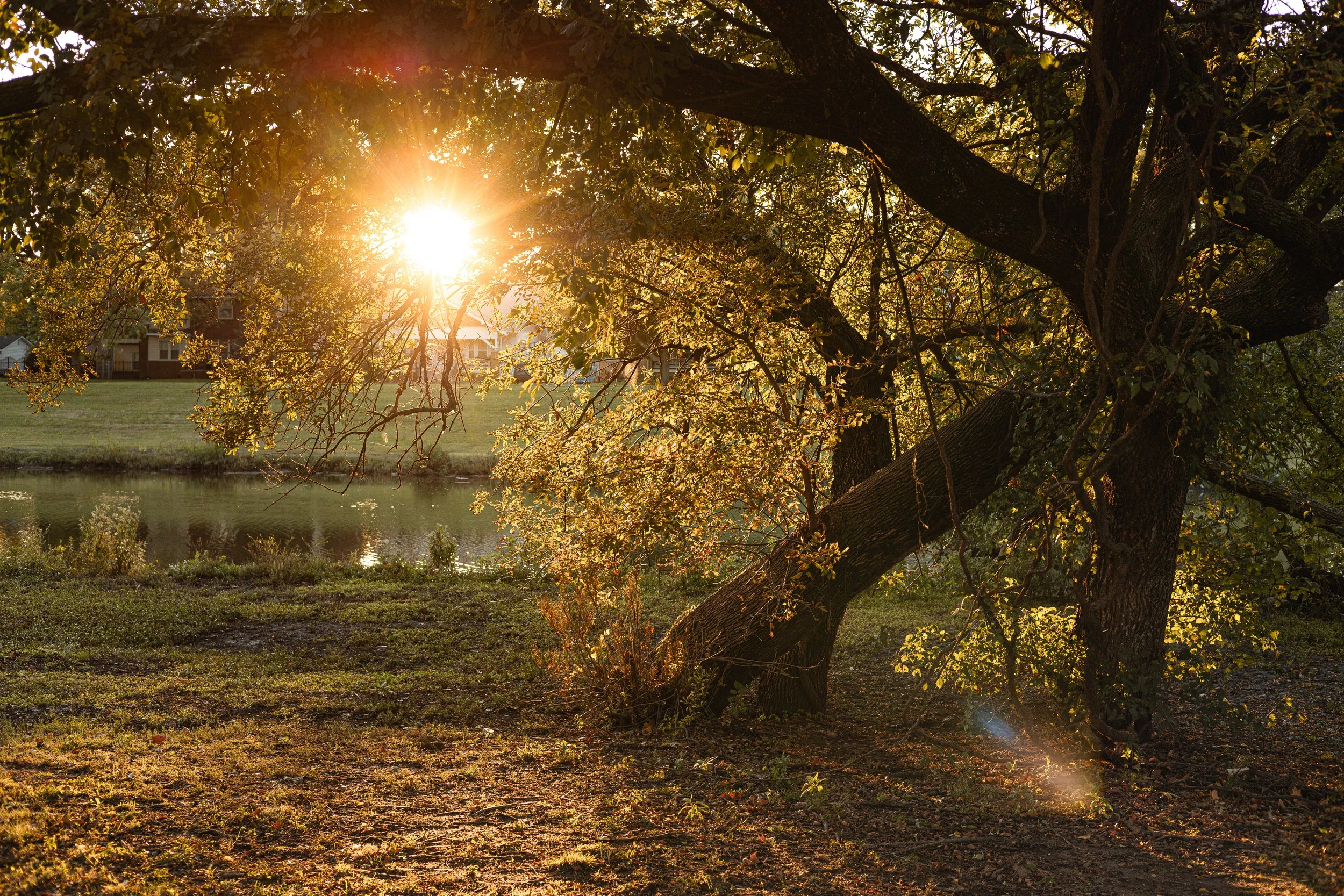 Fall sunset in wichita, ks at Oak Park for family photos