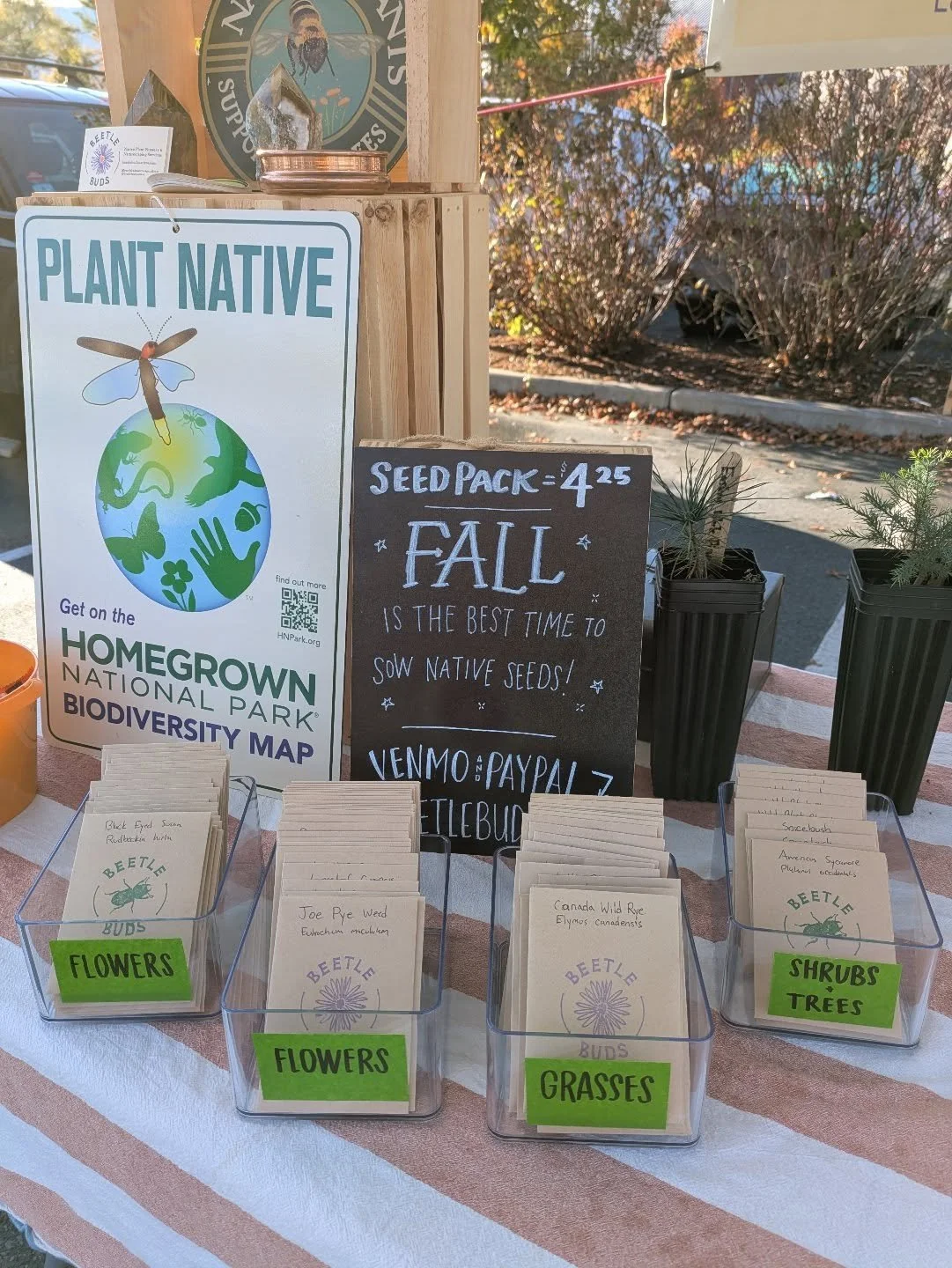 At @williamstownmafarmersmarket for my final market of 2025 with plenty of seed packs. Come learn about cold stratification methods and why Fall is the best time to sow your native seeds.