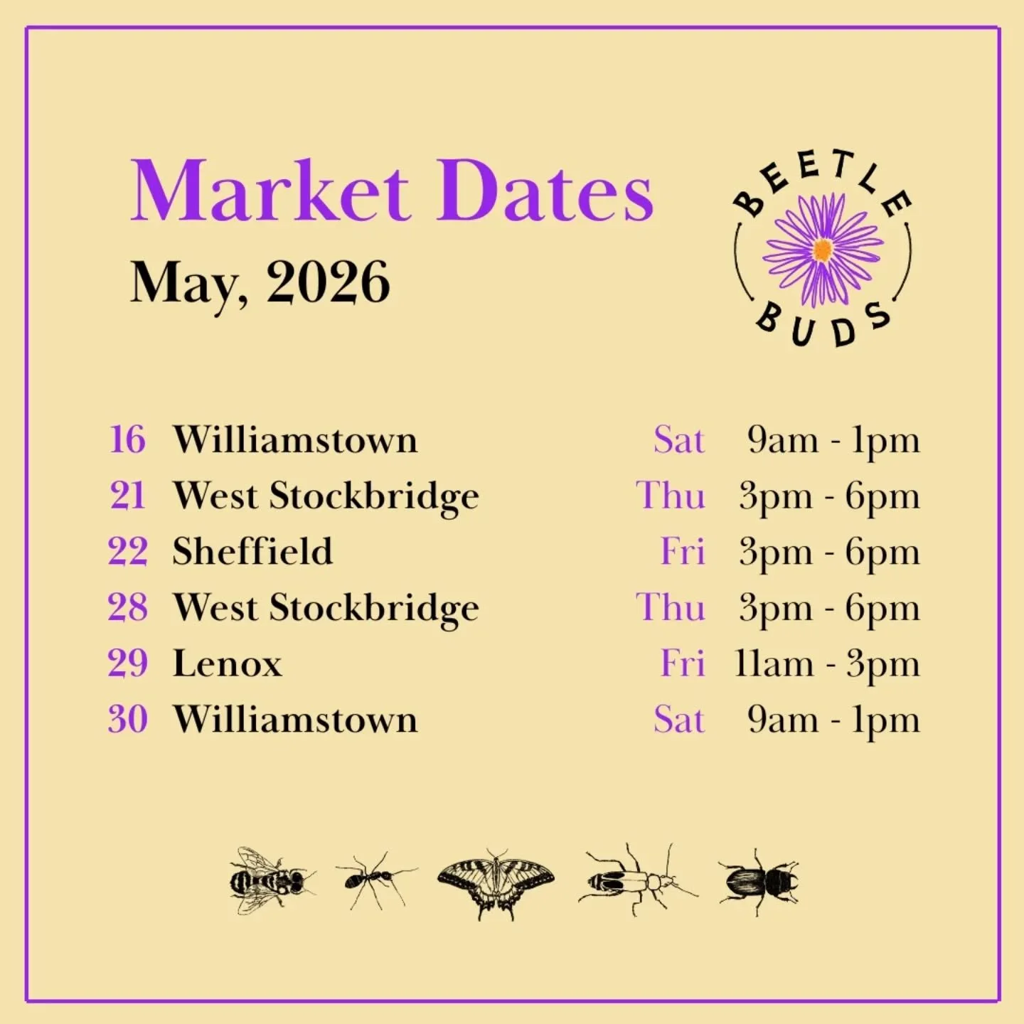 MARKET SEASON PT 2

Excited to be back at market this year. I truly have a blast talking all things natives, from sharing species recommendations, to building habitat for at risk insects, to best practices for eco landscaping &amp; perhaps my favorit