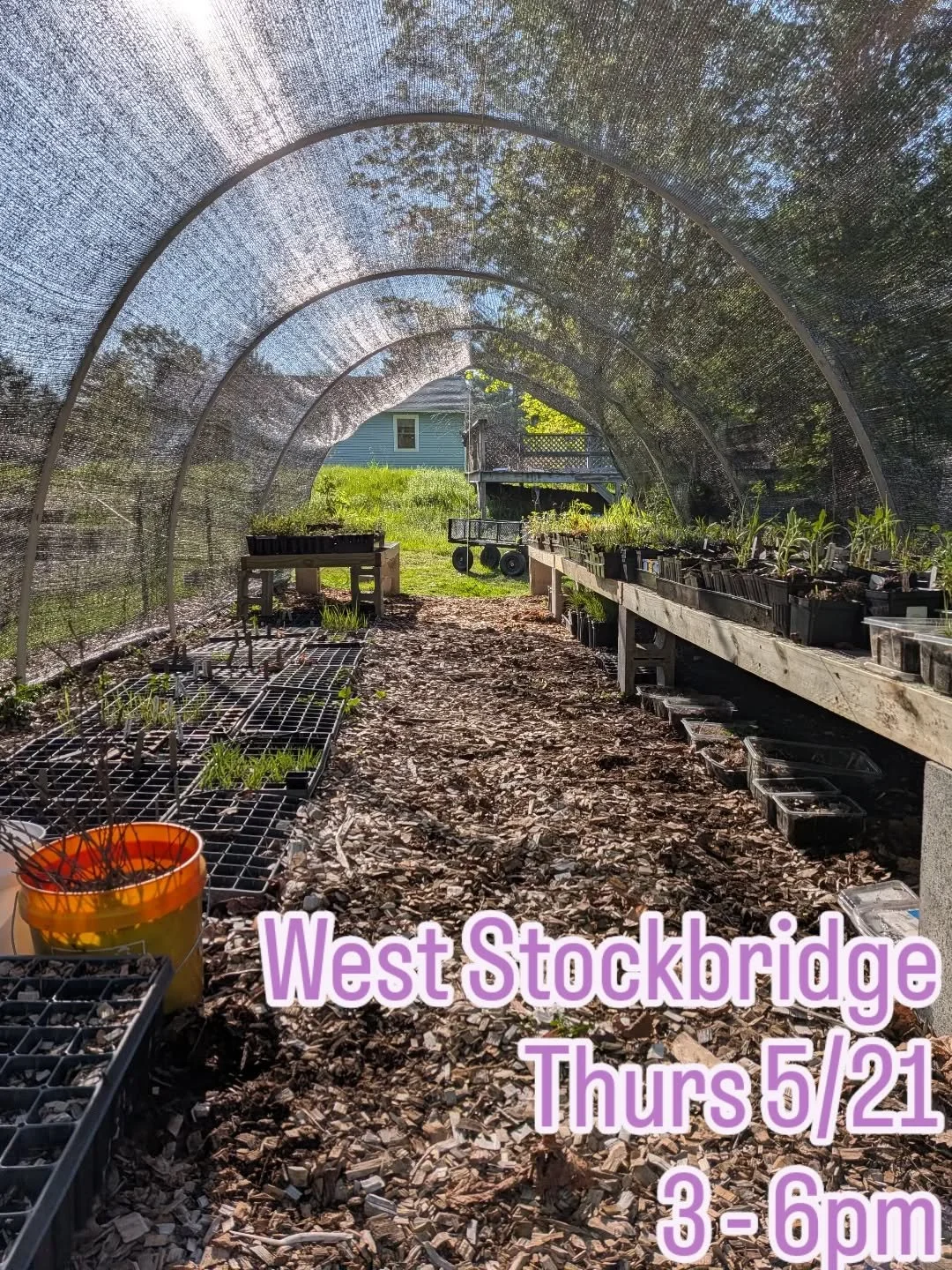 Super excited to be joining the @wsfarmmarket this season for a handful of dates in Spring &amp; Fall.

Tomorrow I'll be bringing spring bloomers, cool season grasses, and plenty of seed packs. Stop by to chat native gardening, eco landscaping &amp; 