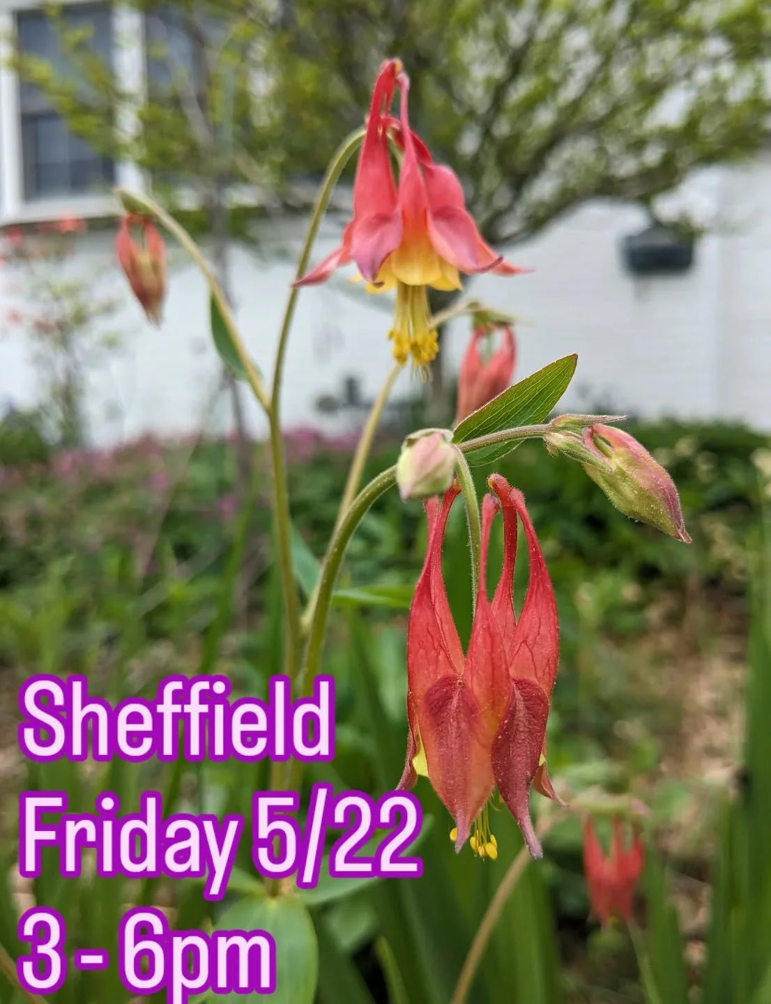 Can't wait to table @sheffieldfarmersmarket tomorrow 5/22 from 3-6pm.

Haven't had a chance to explore much of southern Berkshire County since moving to MA, but really looking forward to joining the market for some dates this Spring &amp; Fall.

I'll