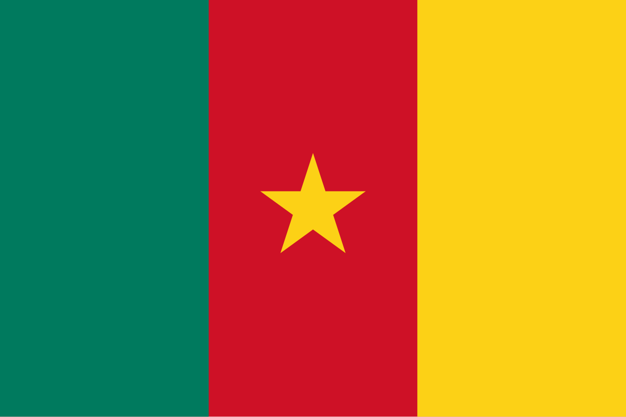 Flag of Cameroon with green, red, and yellow vertical stripes and a yellow star in the red stripe.