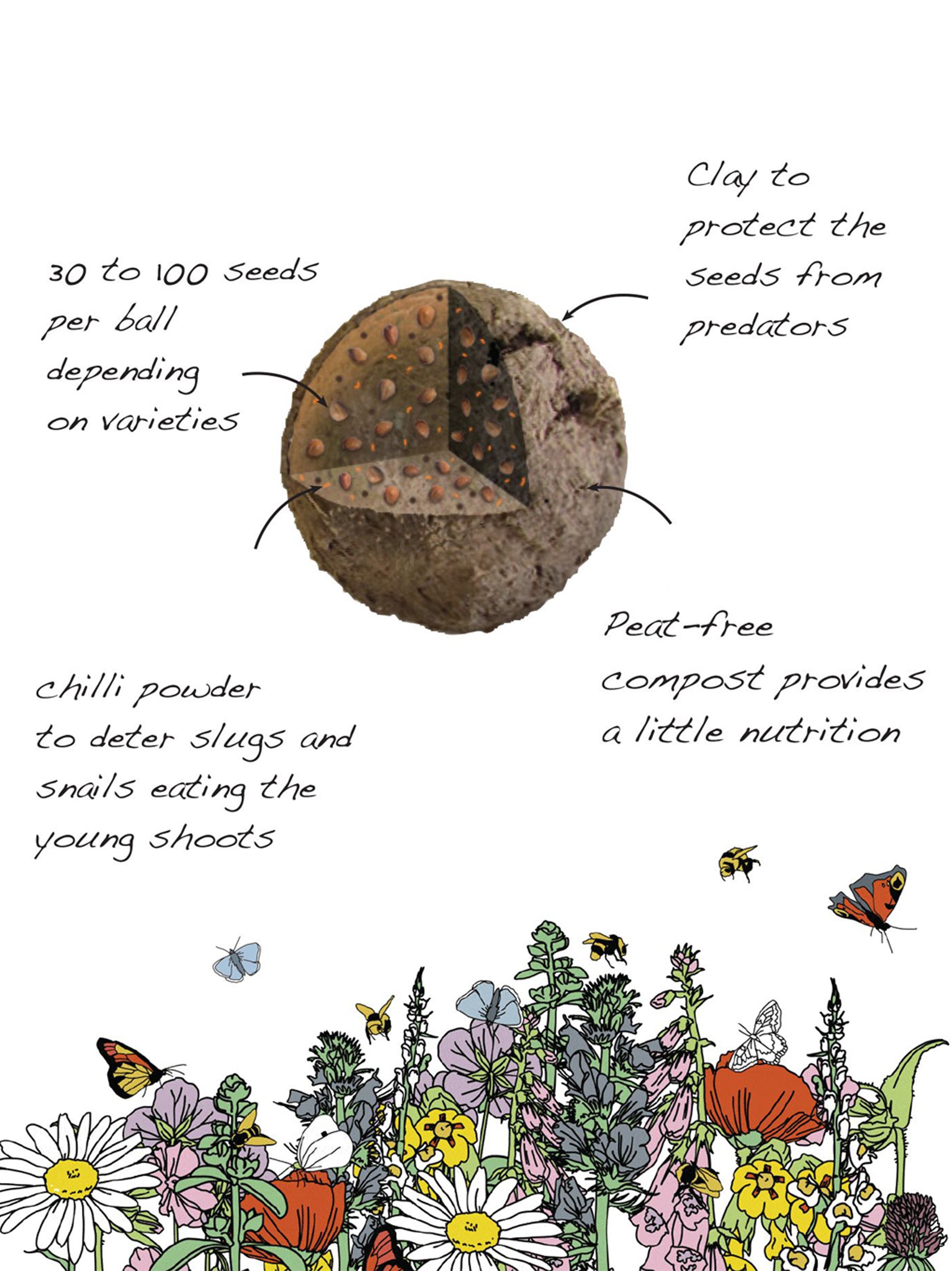diagram-2679-1649158768.jpeg
