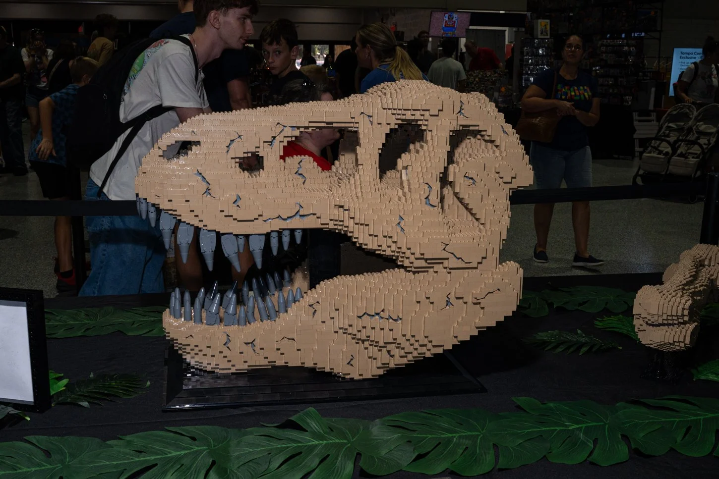 image 8-8-2026-1.jpg