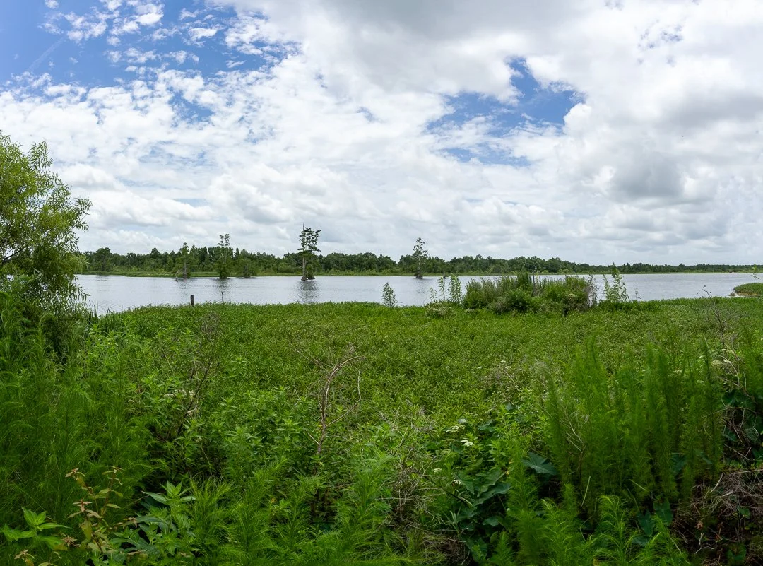image 6-1-2026-5.jpg