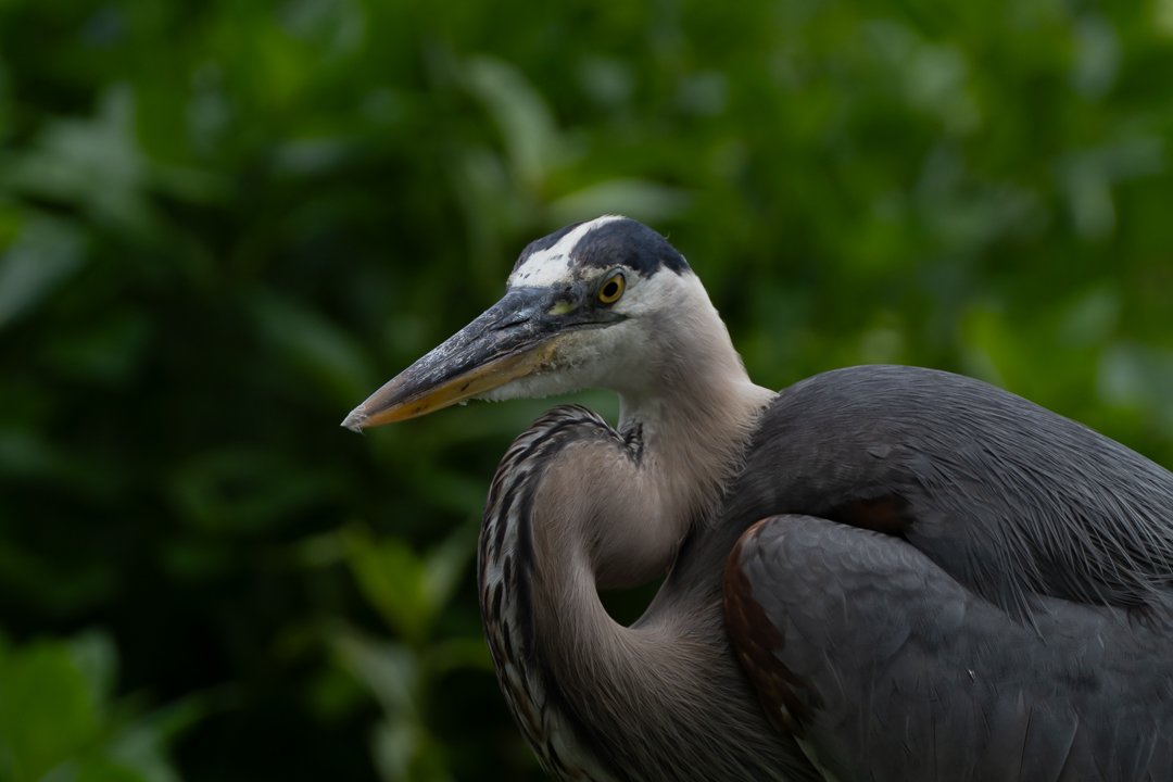 image 6-1-2026-7.jpg