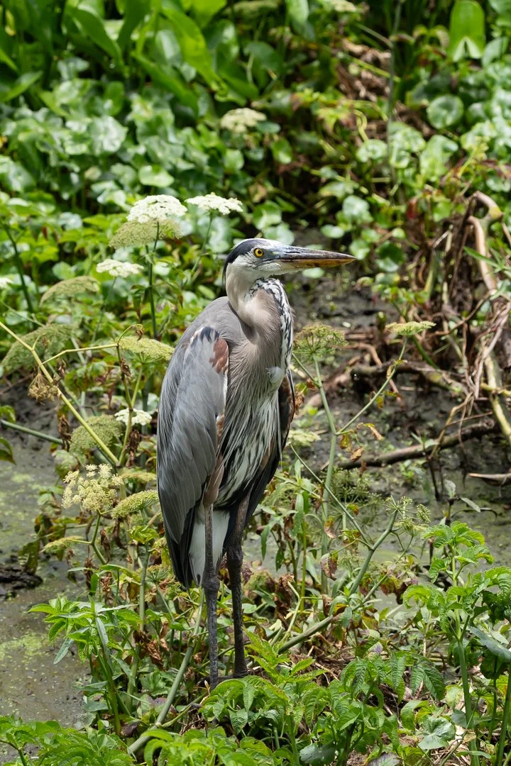 image 6-1-2026-17.jpg
