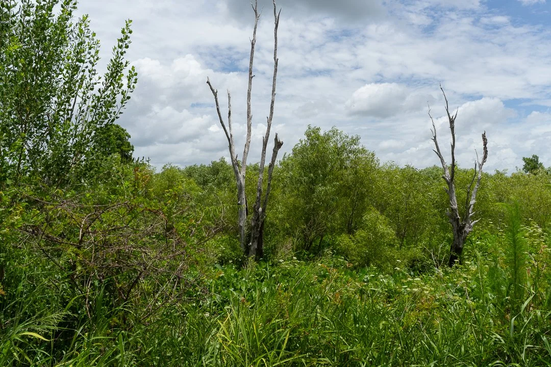 image 6-1-2026-9.jpg