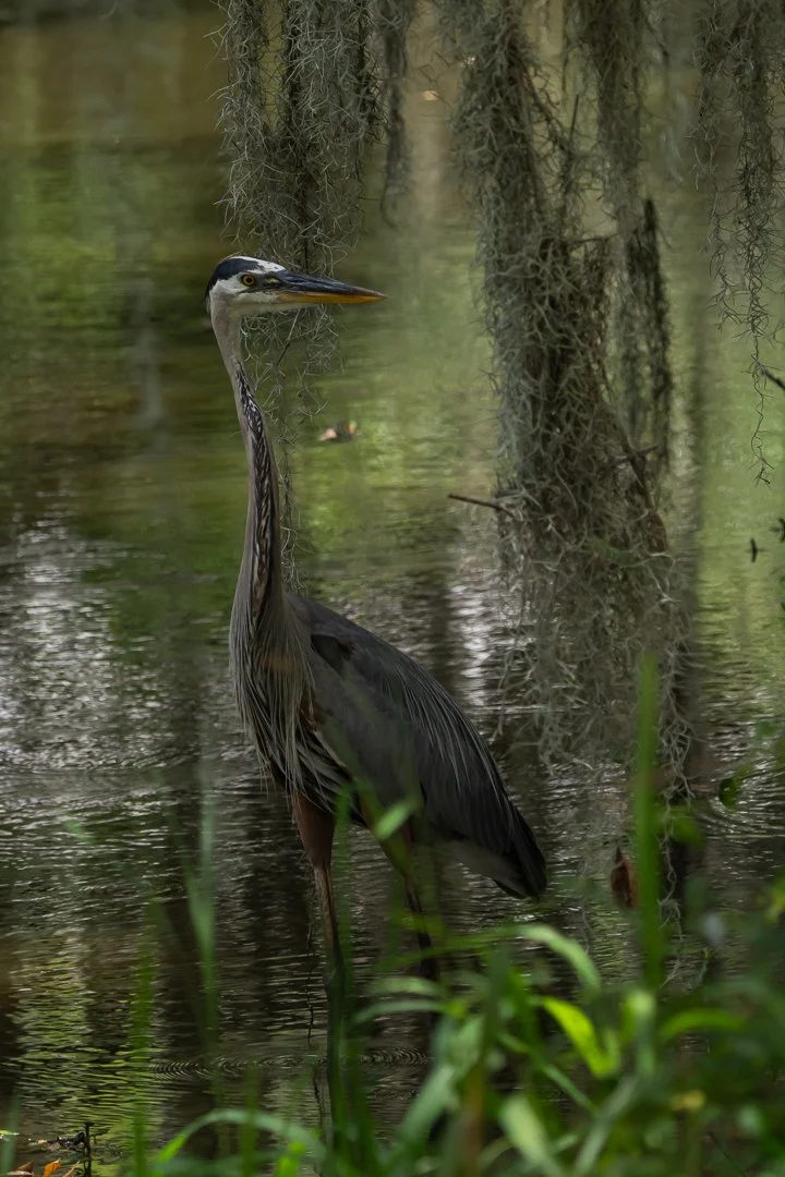 image 6-1-2026-4.jpg