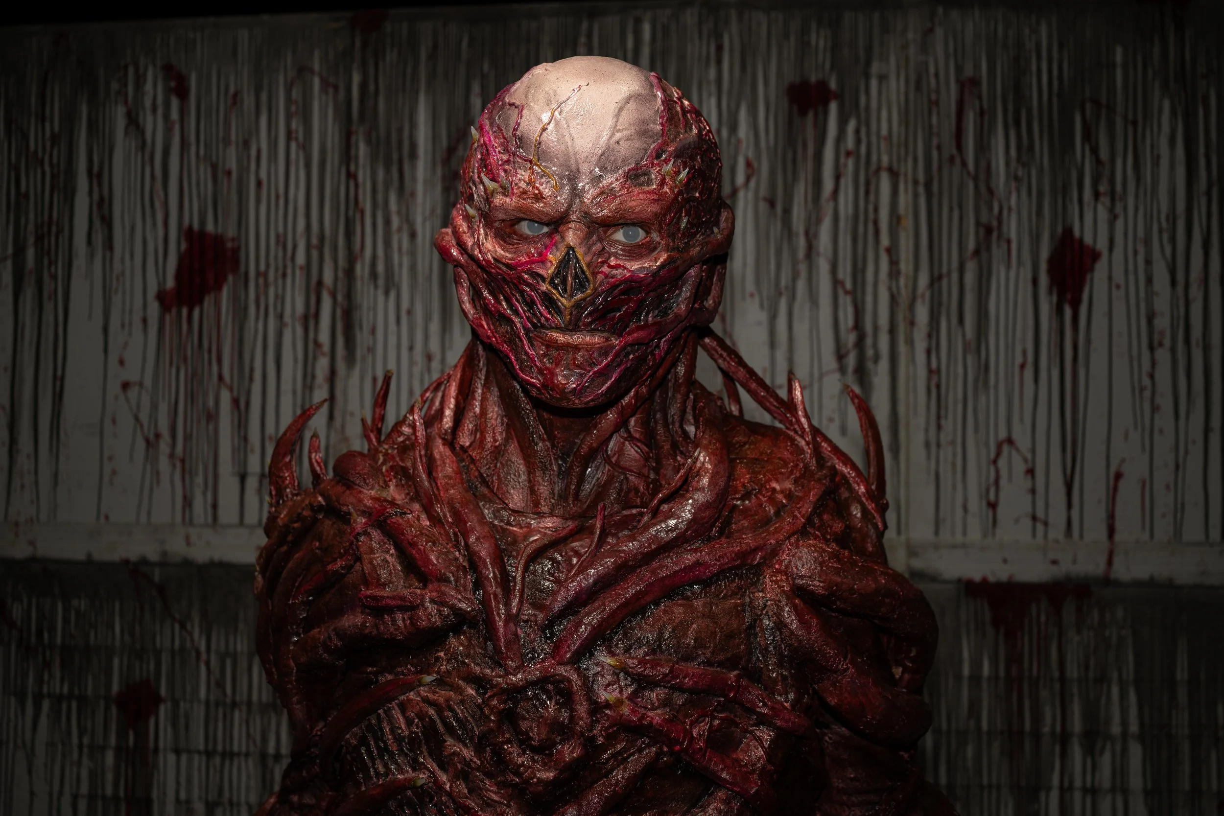 image 3-1-2026-45.jpg