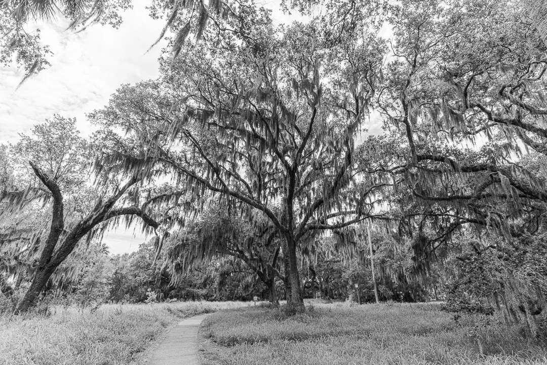 image 6-1-2026-20.jpg