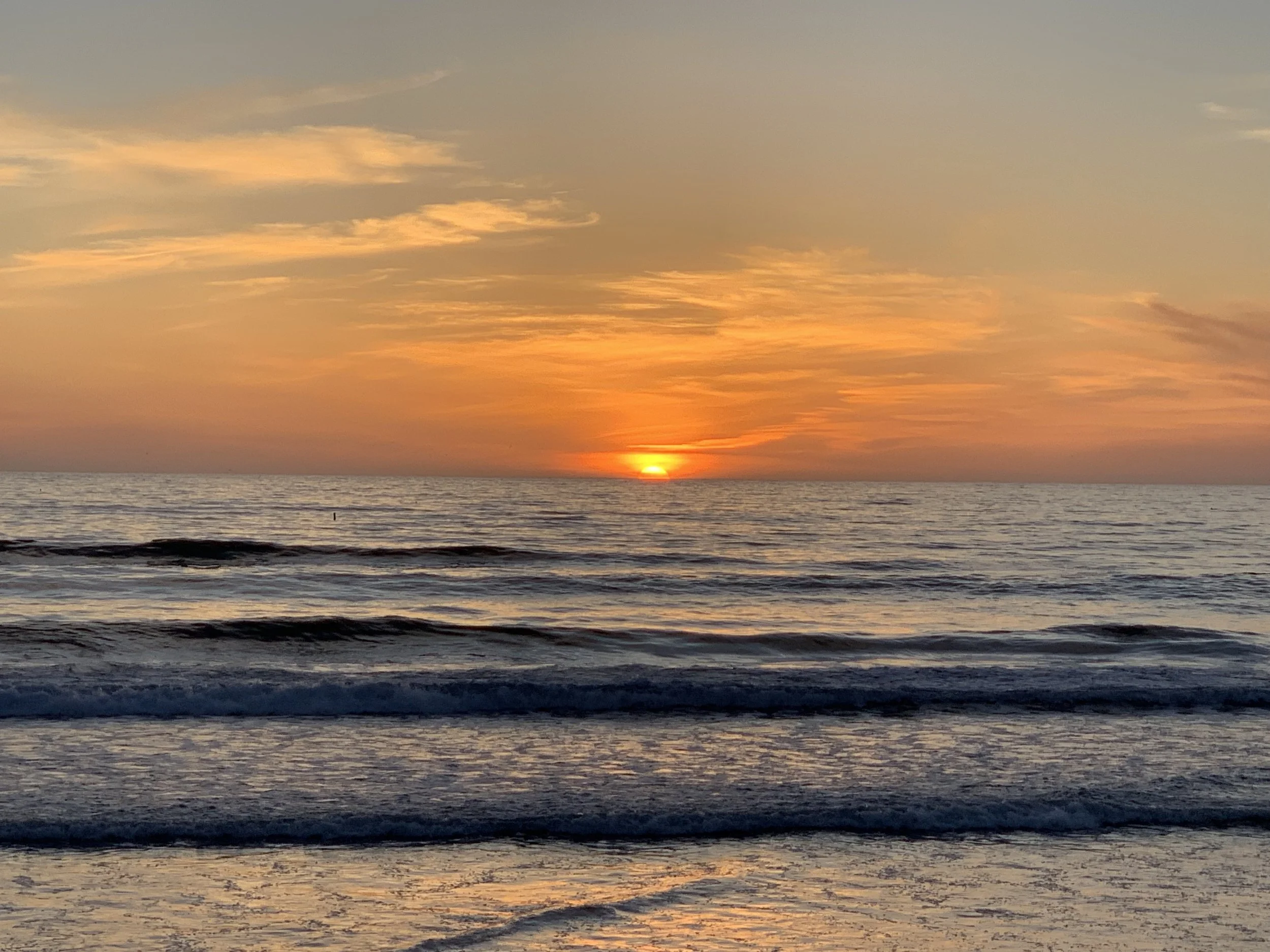 The Question of Hope - Reimagining Hope as Embrace of Present Moment