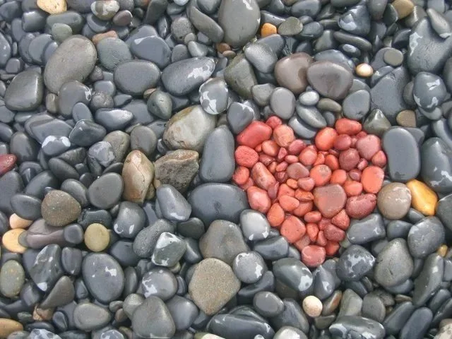 Mindful Acceptance
