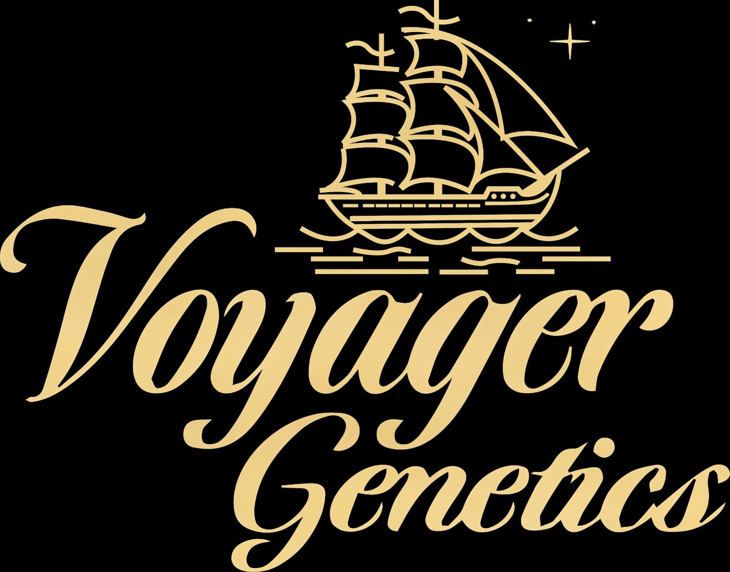 Voyager Genetics