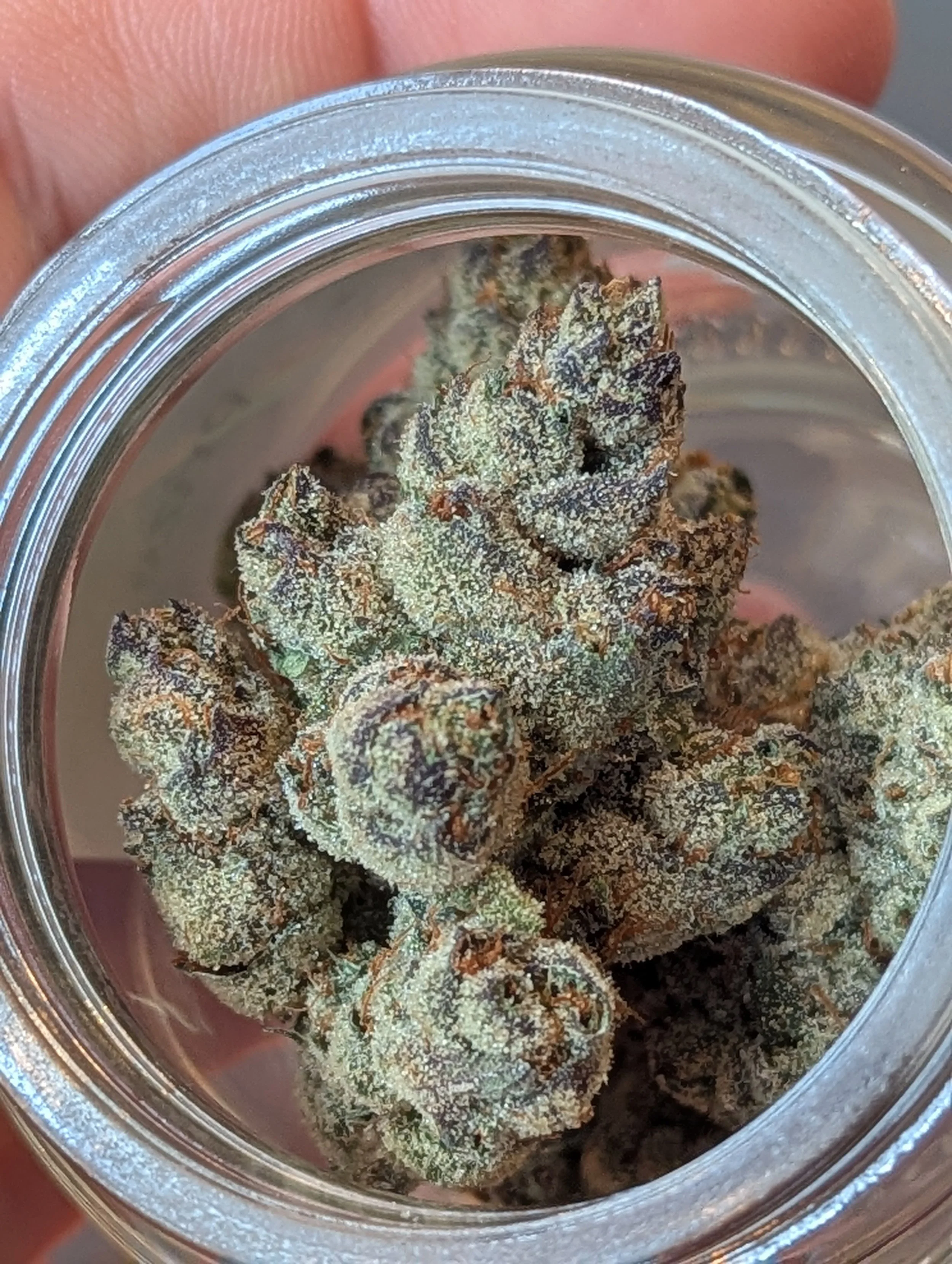 Close-up of cannabis buds inside a glass jar.