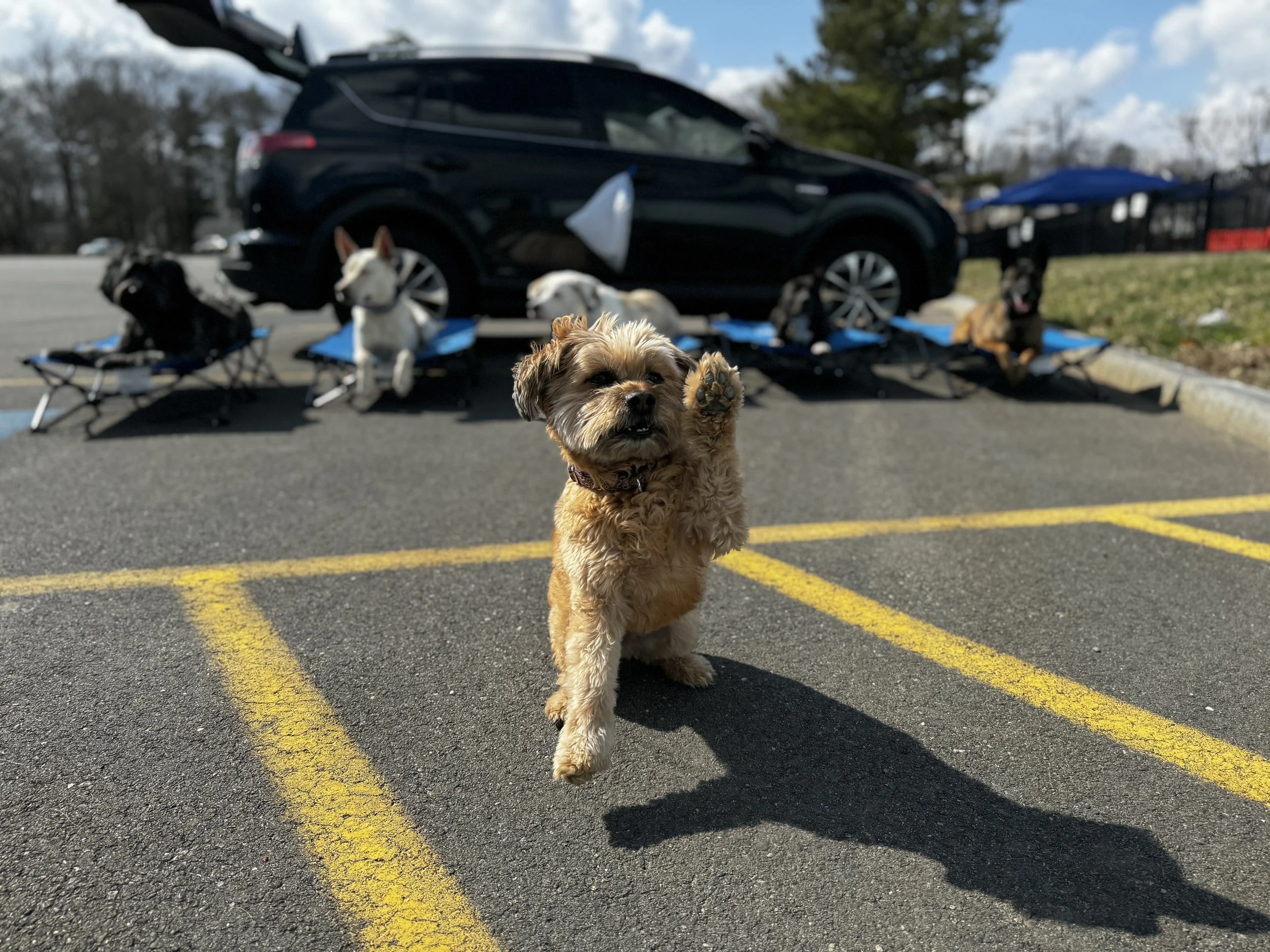 Atlas AKA Puff
