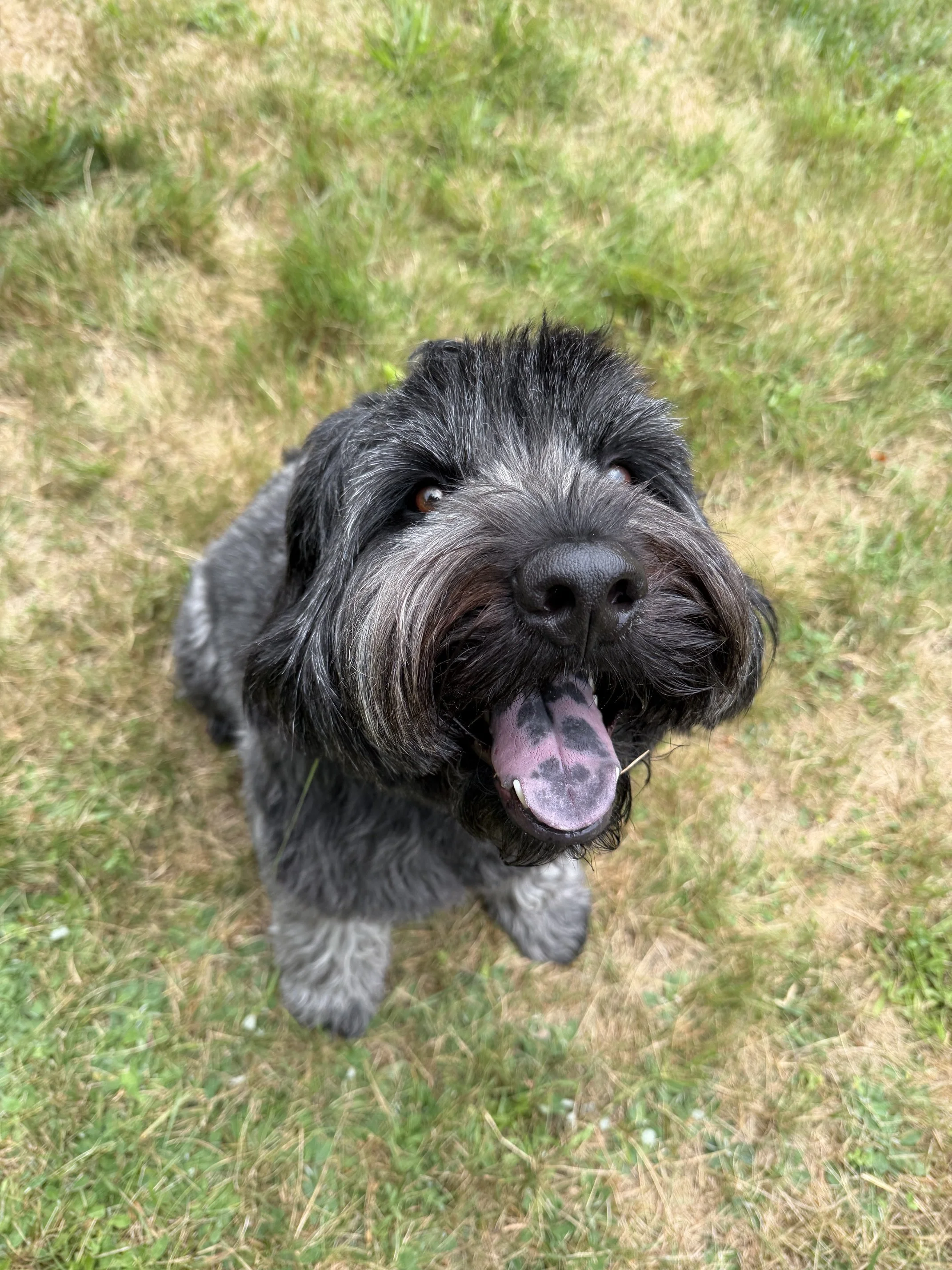 Tevye