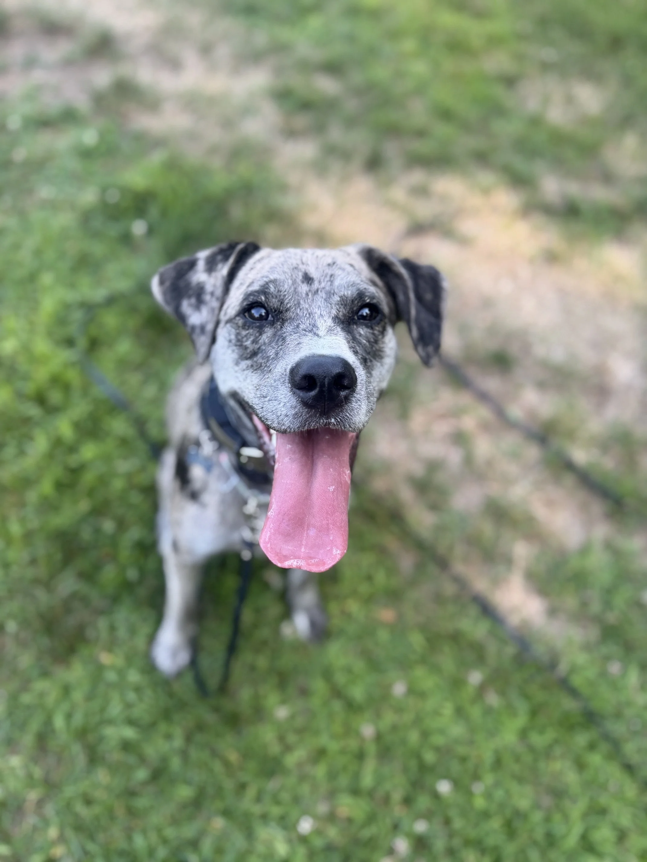Mac