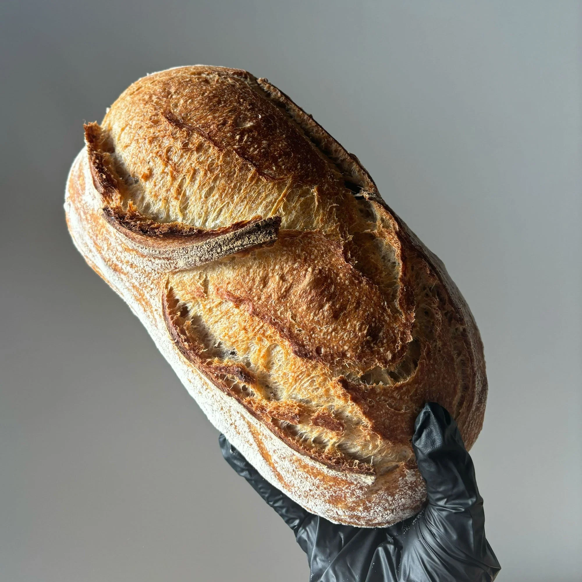 House Sourdough.jpg