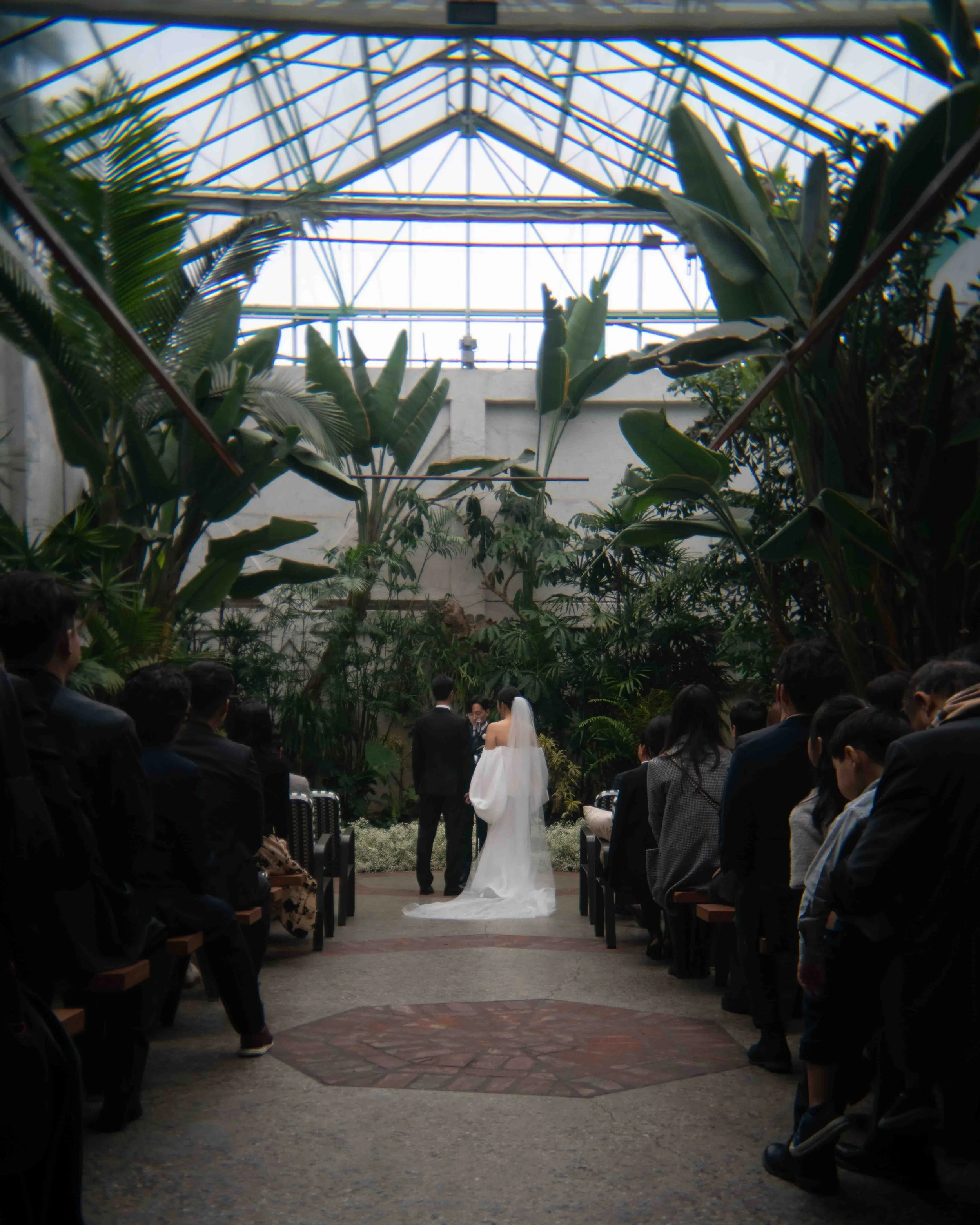 Weddings-24.jpg