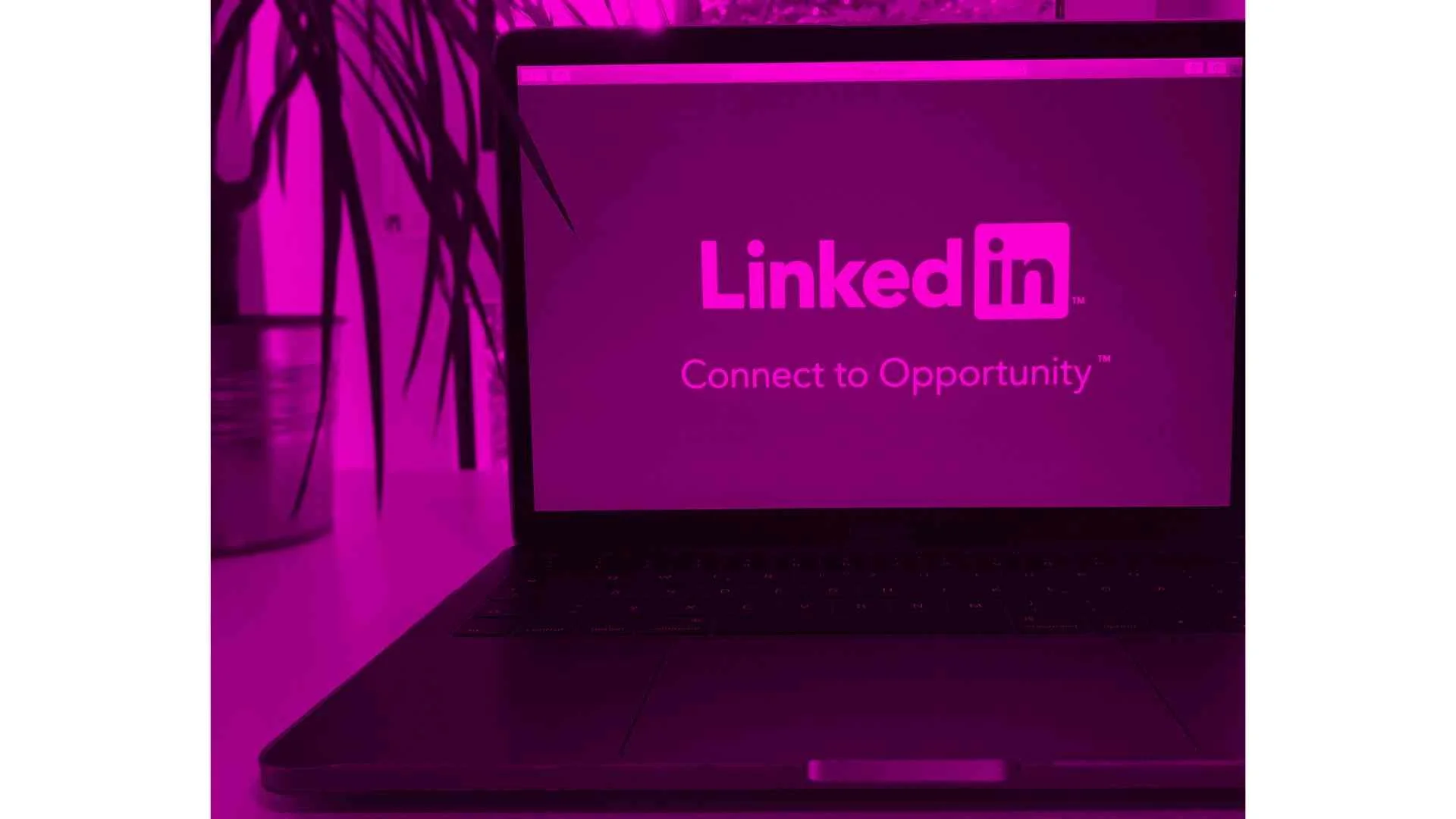 How social media advertising drives business growth