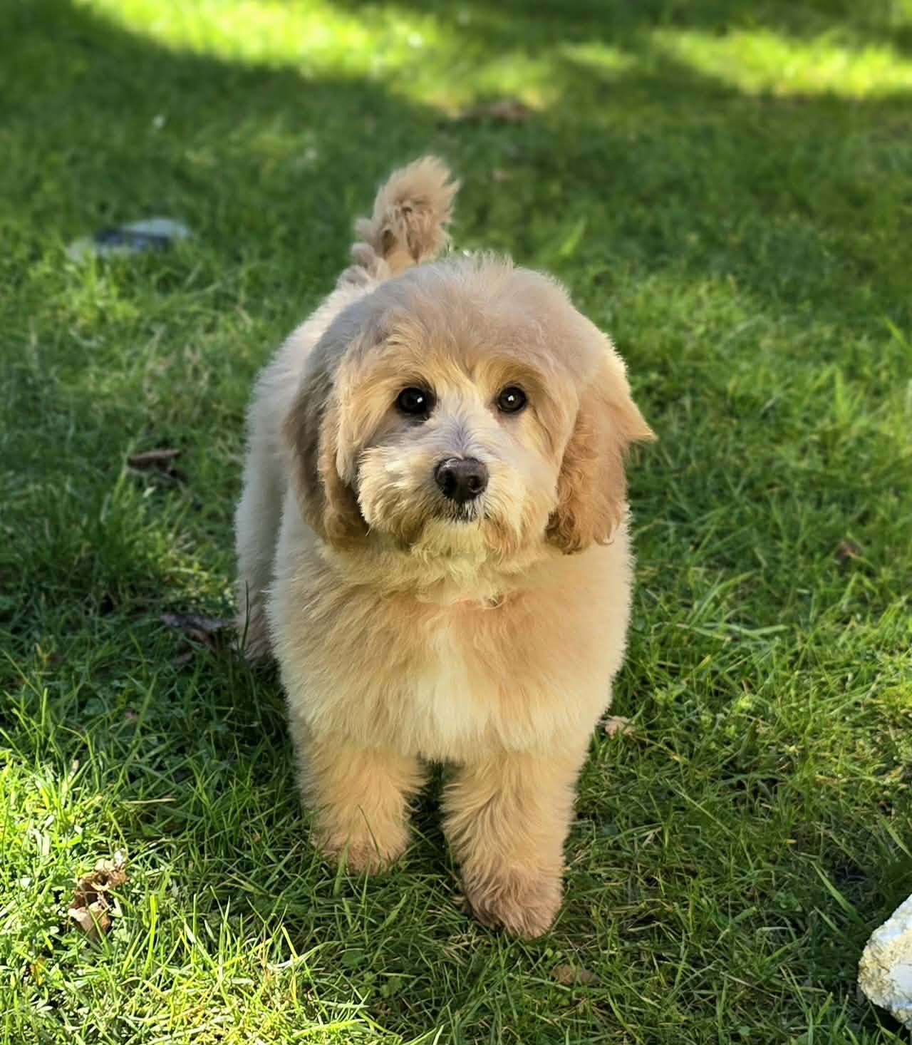 648249111_1576294143483665_6998085566586605685_n - Copy.jpg