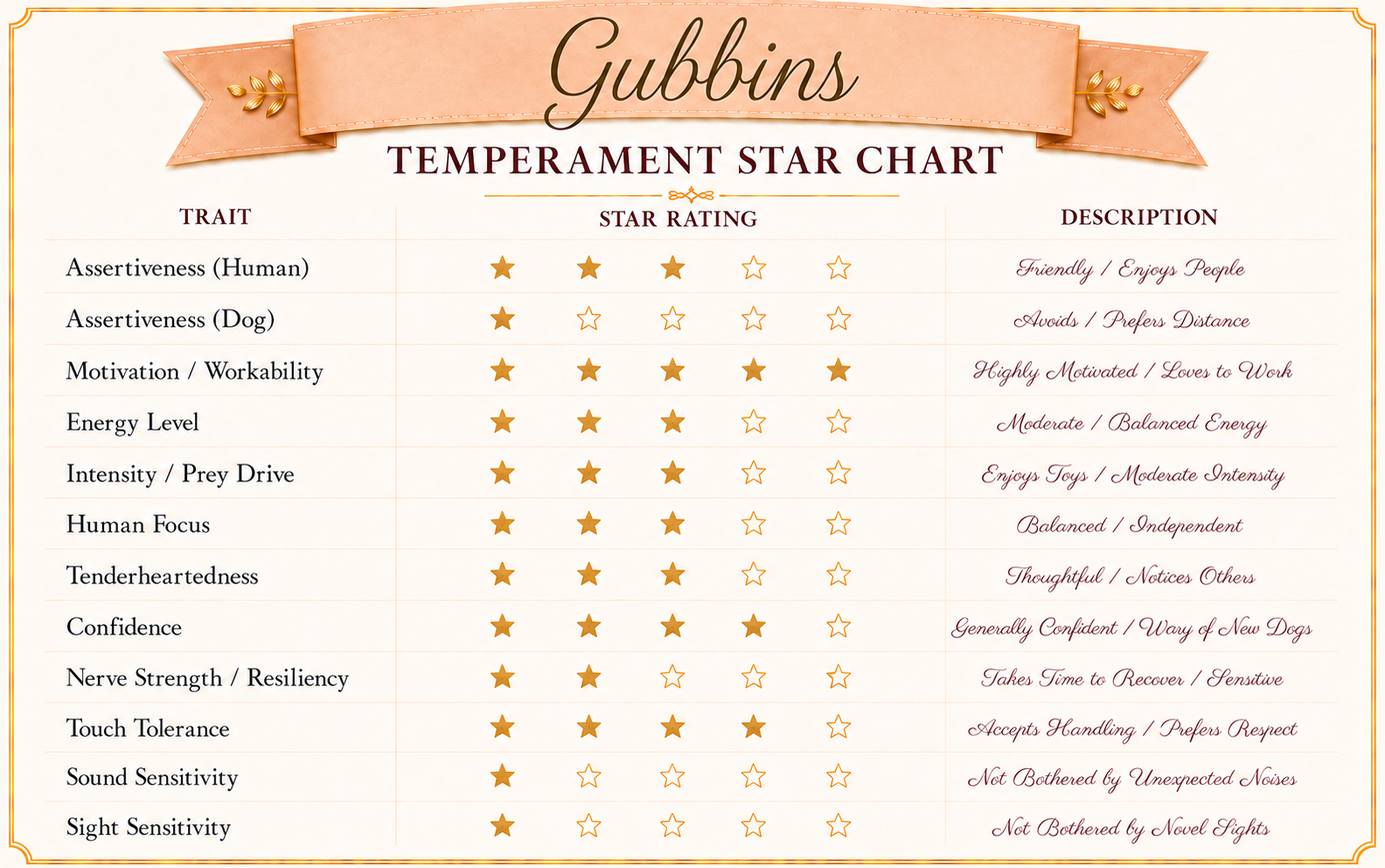 Temperament evaluation for Gubbins, an AKC Golden Retriever puppy with a thoughtful, observant personality.