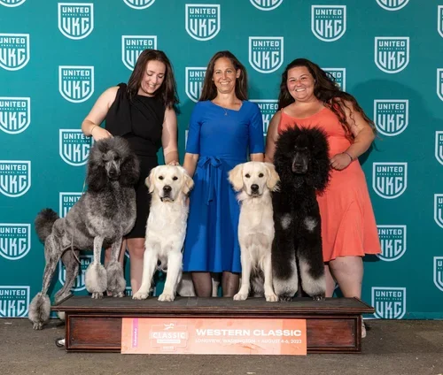 Three women and four dogs at a dog competition, with a United UKC backdrop and a wooden award display.