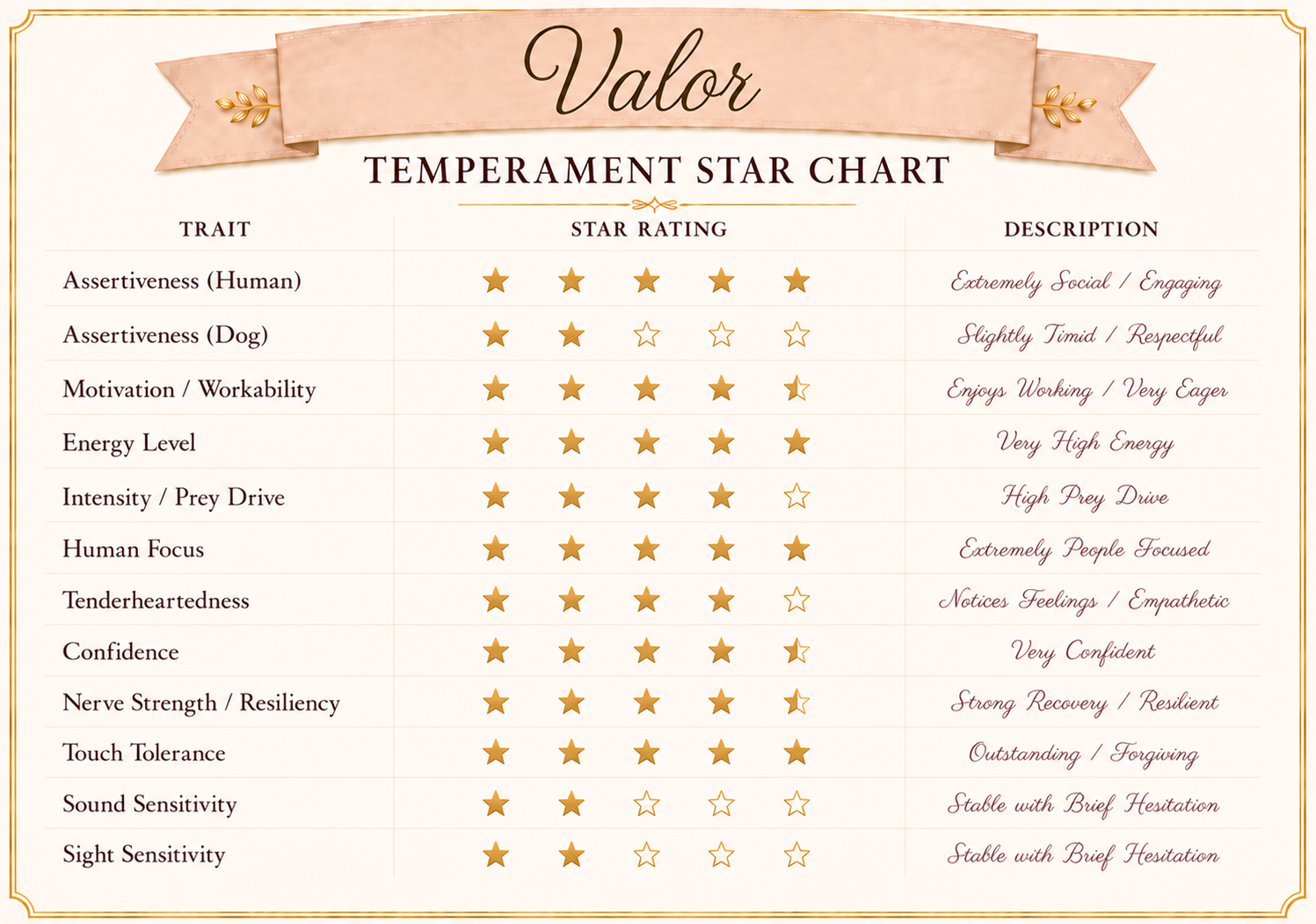 Valor's temperament evaluation at 7½ weeks highlights his confident, athletic personality, exceptional people focus, and enthusiasm for working alongside his family