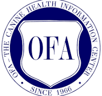 OFA health testing for hips and elbows in breeding dogs