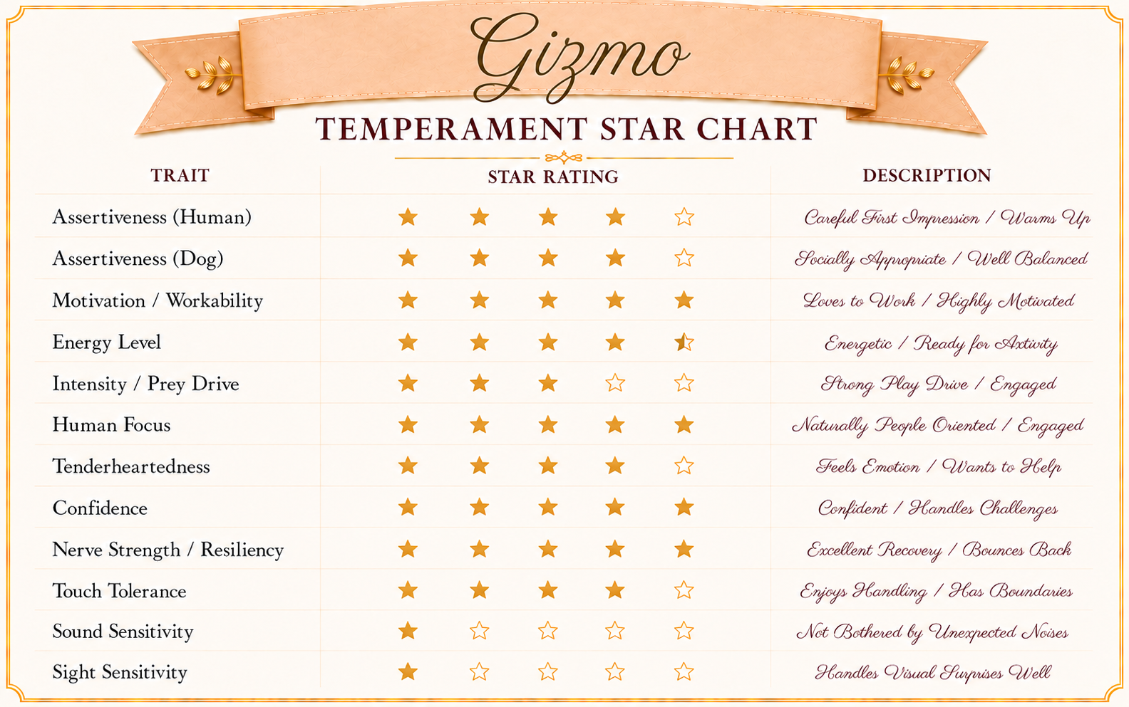 Temperament evaluation for Gizmo, an AKC Golden Retriever puppy showing outstanding service dog potential.