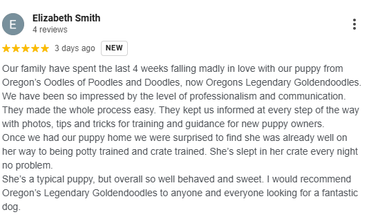 Five star Google review for Oregon's Legendary Goldendoodles validates early training program