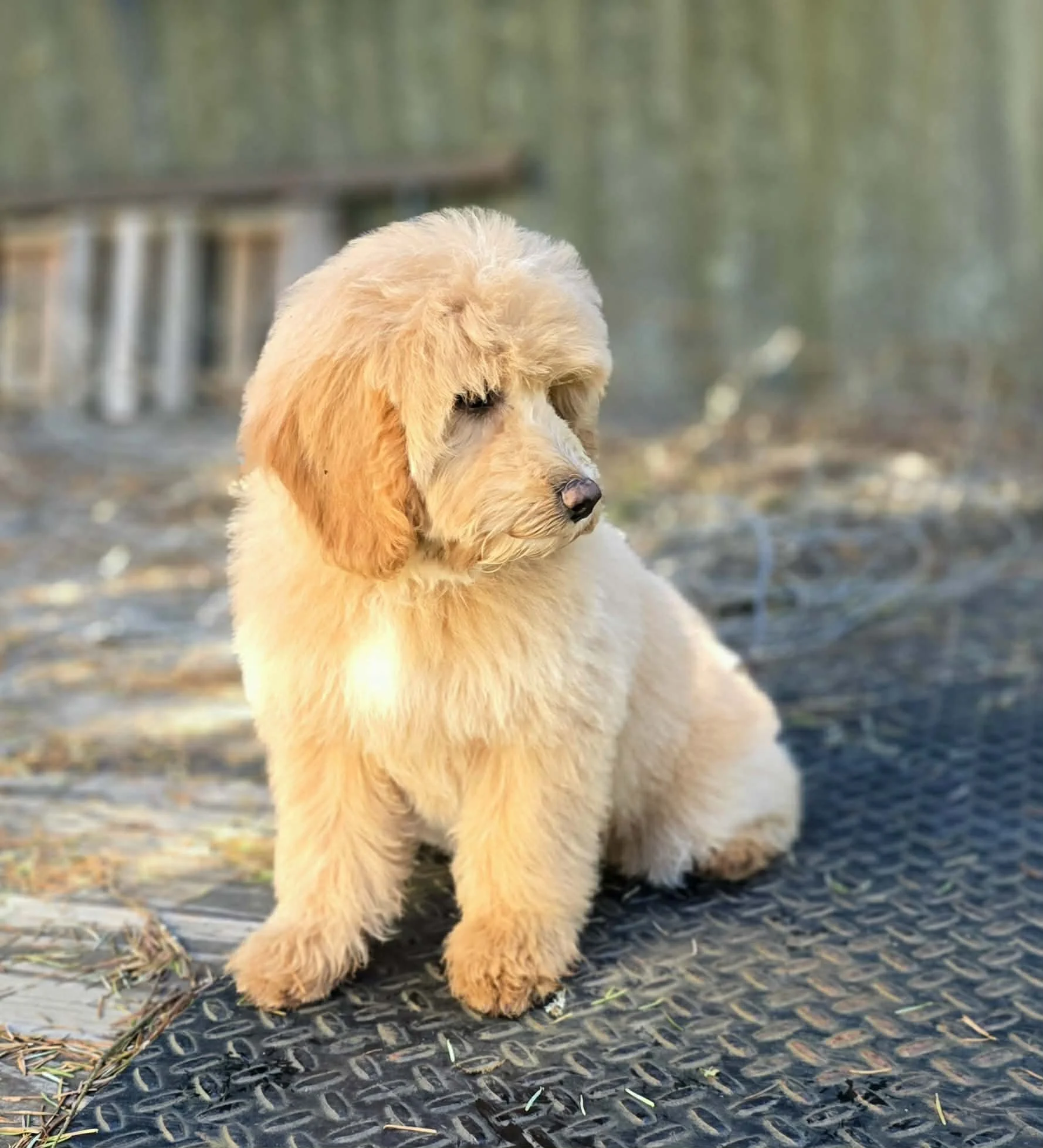 645531085_26213564458239665_7210981239156786124_n - Copy.jpg