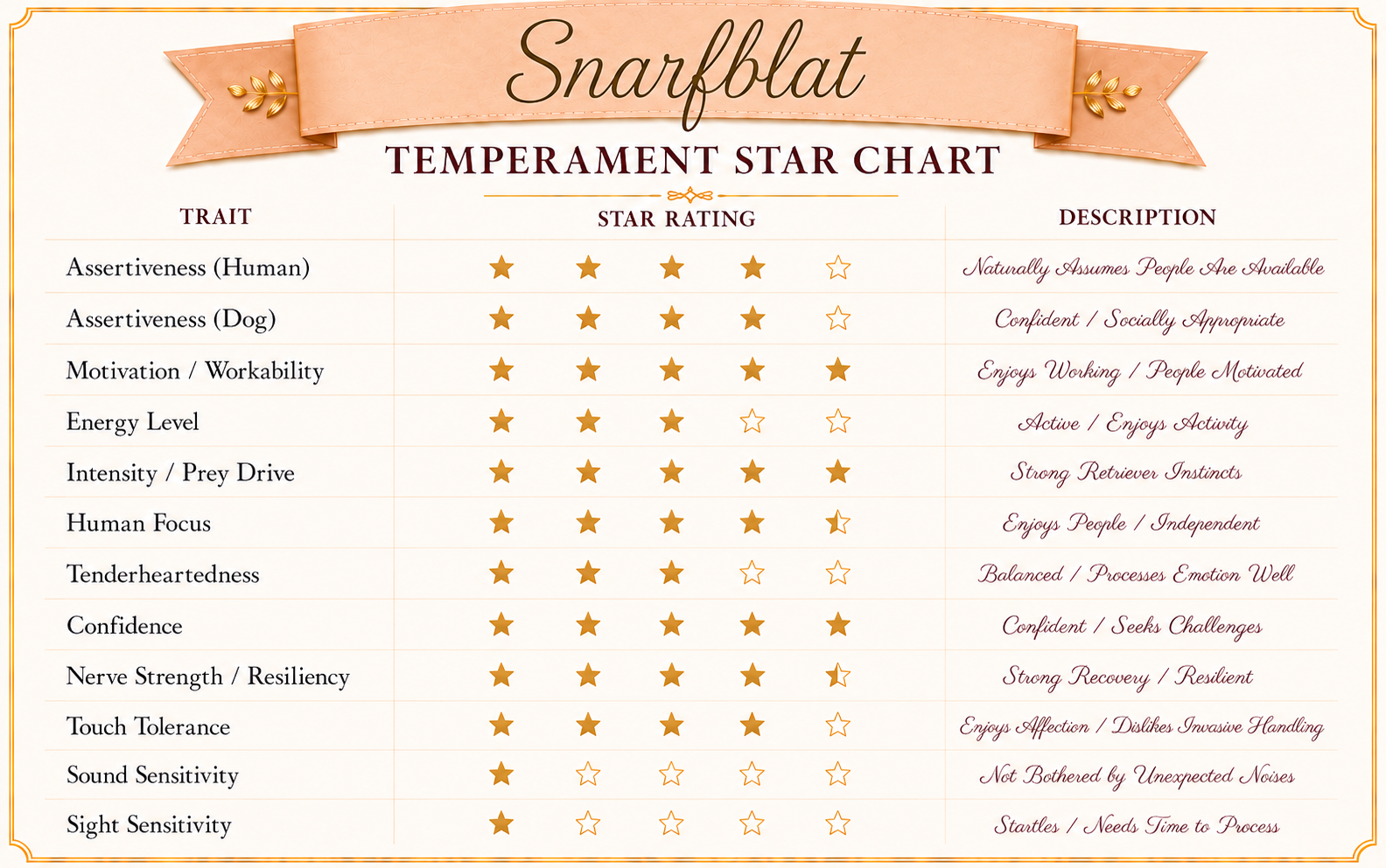 Temperament Evaluation for Snarfblatt, an AKC Golden Retriever puppy. Confident, curious, highly motivated, toy-driven, environmentally stable, nose-oriented, and an independent thinker with excellent potential for scent work, sports