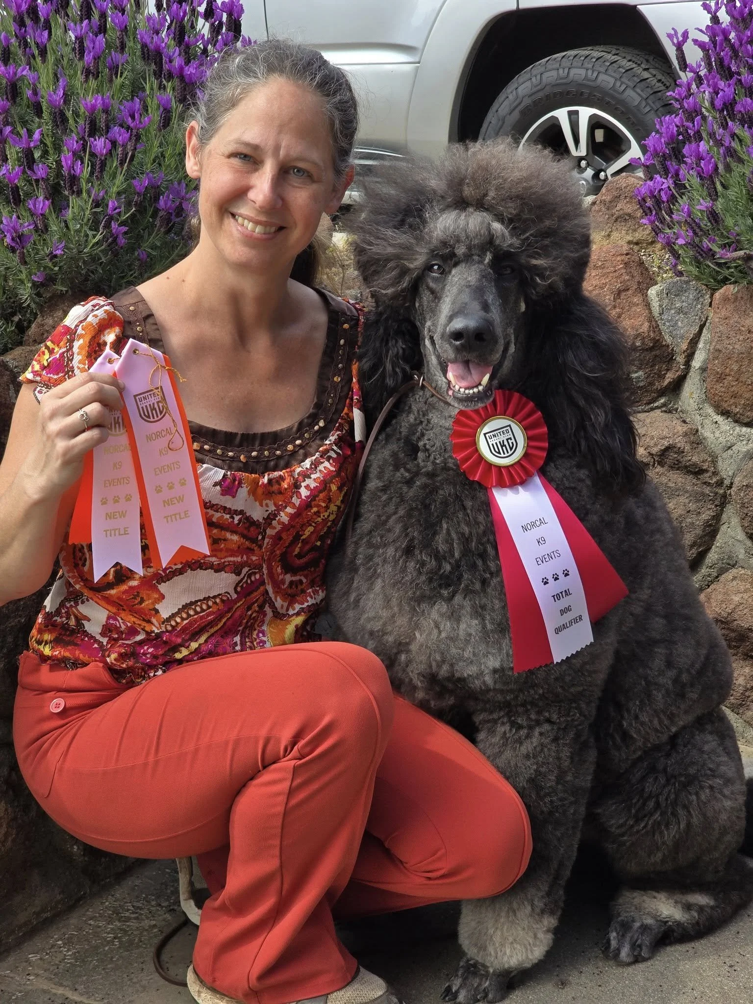 A smiling woman in colorful clothing kneeling next to a large poodle with a rosette ribbon, with purple flowers and a car in the background.