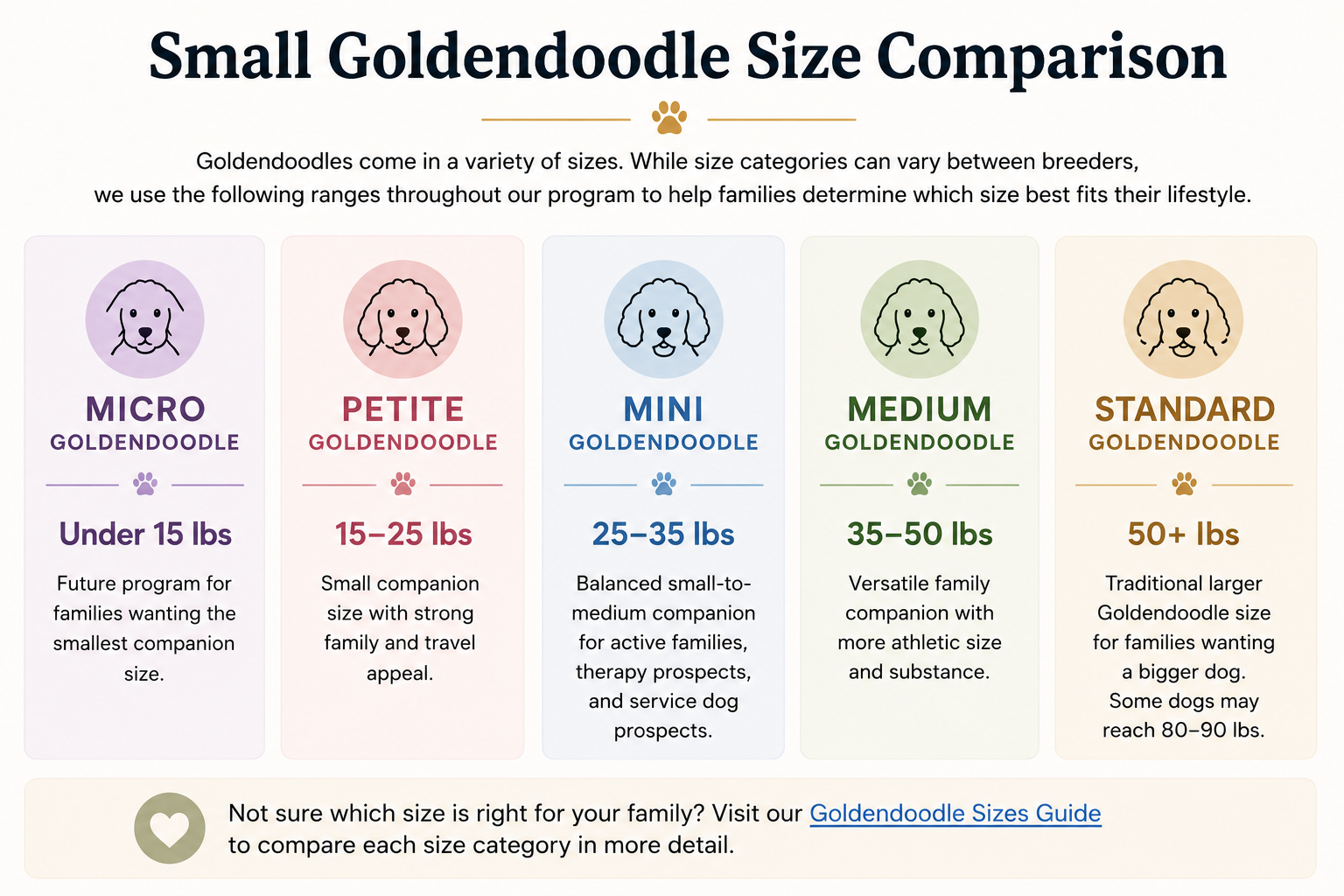 Goldendoodle size comparison chart showing Micro Goldendoodles under 15 pounds, Petite Goldendoodles 15–25 pounds, Mini Goldendoodles 25–35 pounds, Medium Goldendoodles 35–50 pounds, and Standard Goldendoodles 50+ pounds.