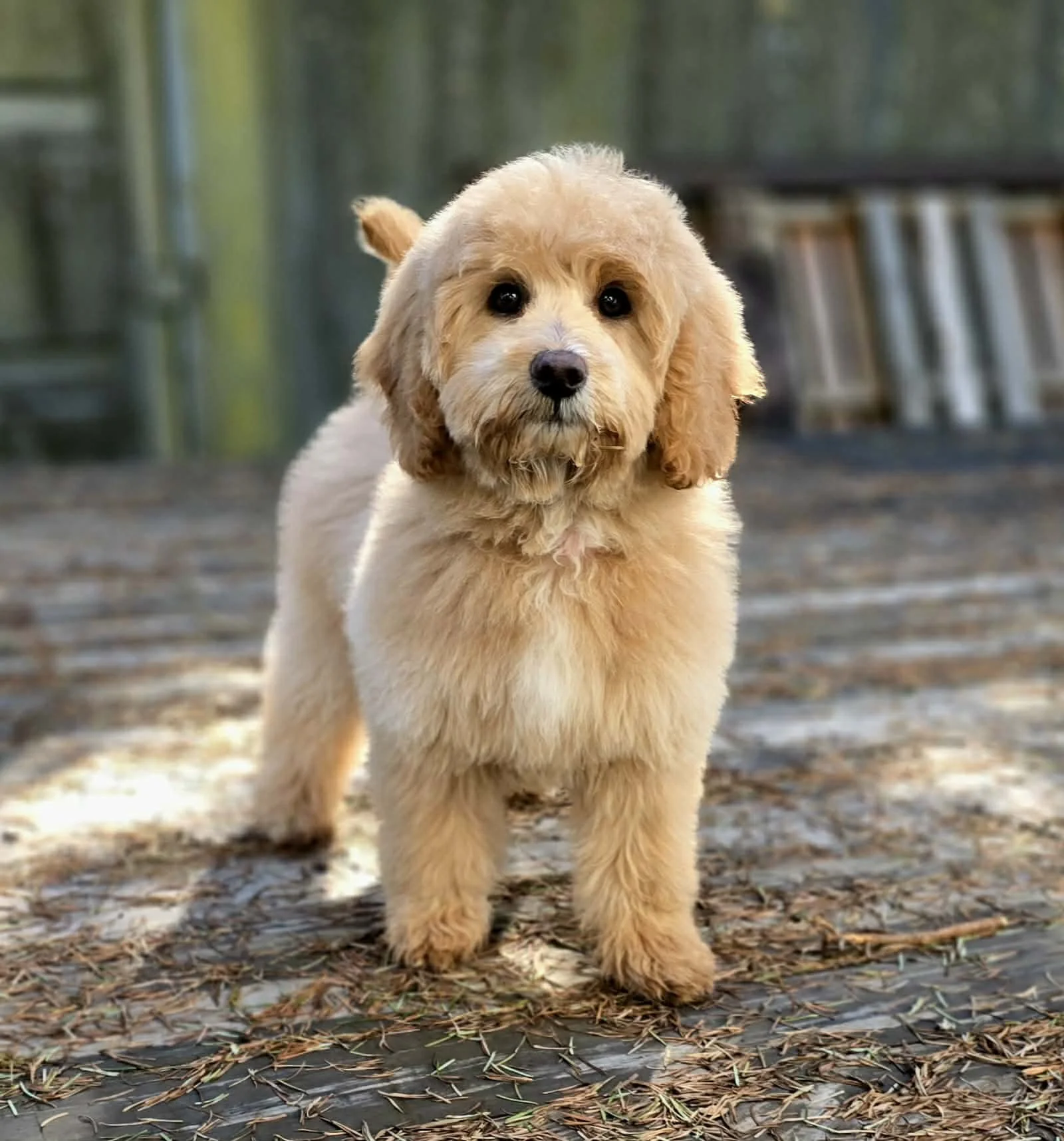 645523020_2158556954973931_3308767359092124427_n - Copy.jpg