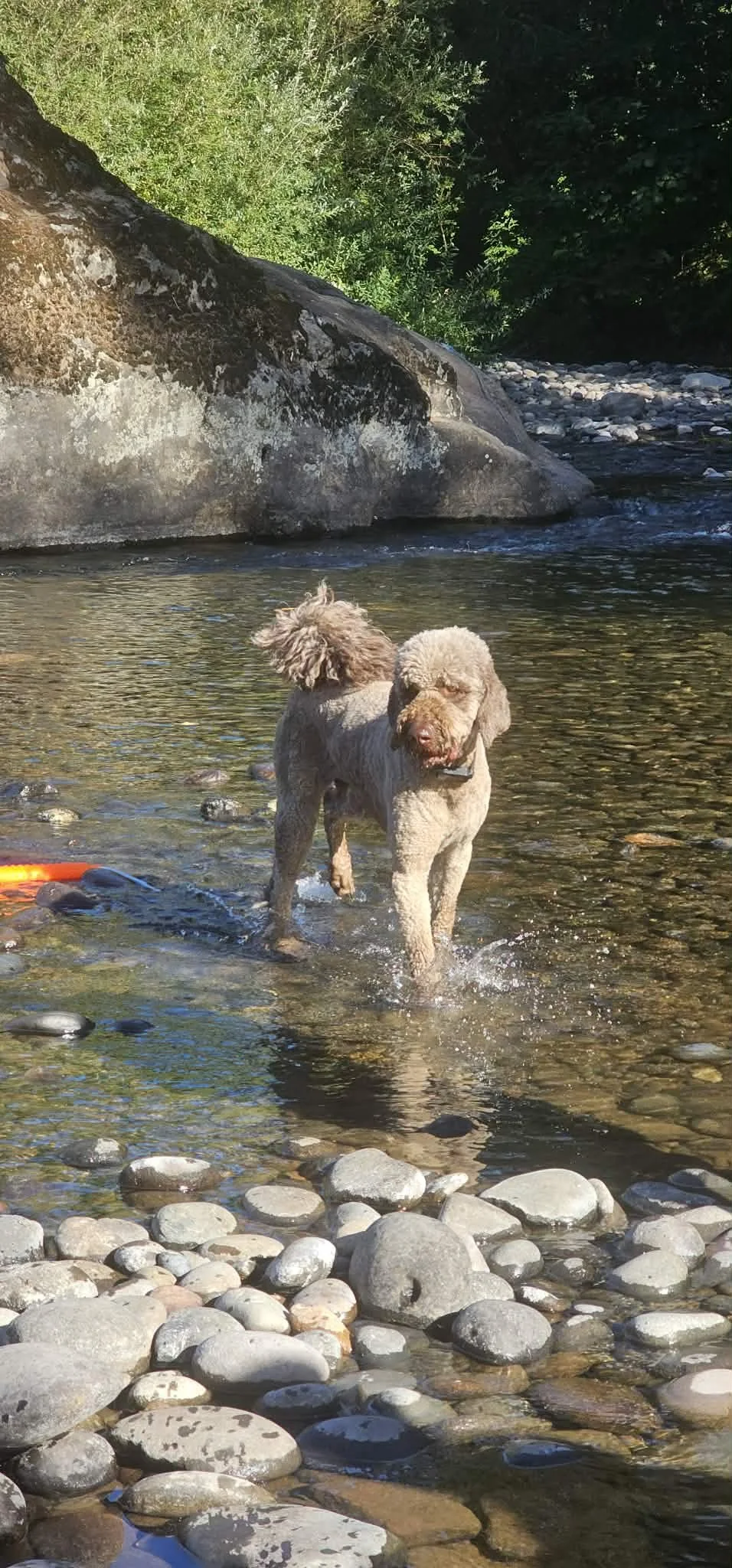 B River.jpg