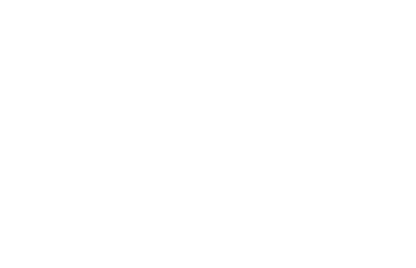 logo_preferred_partners.png