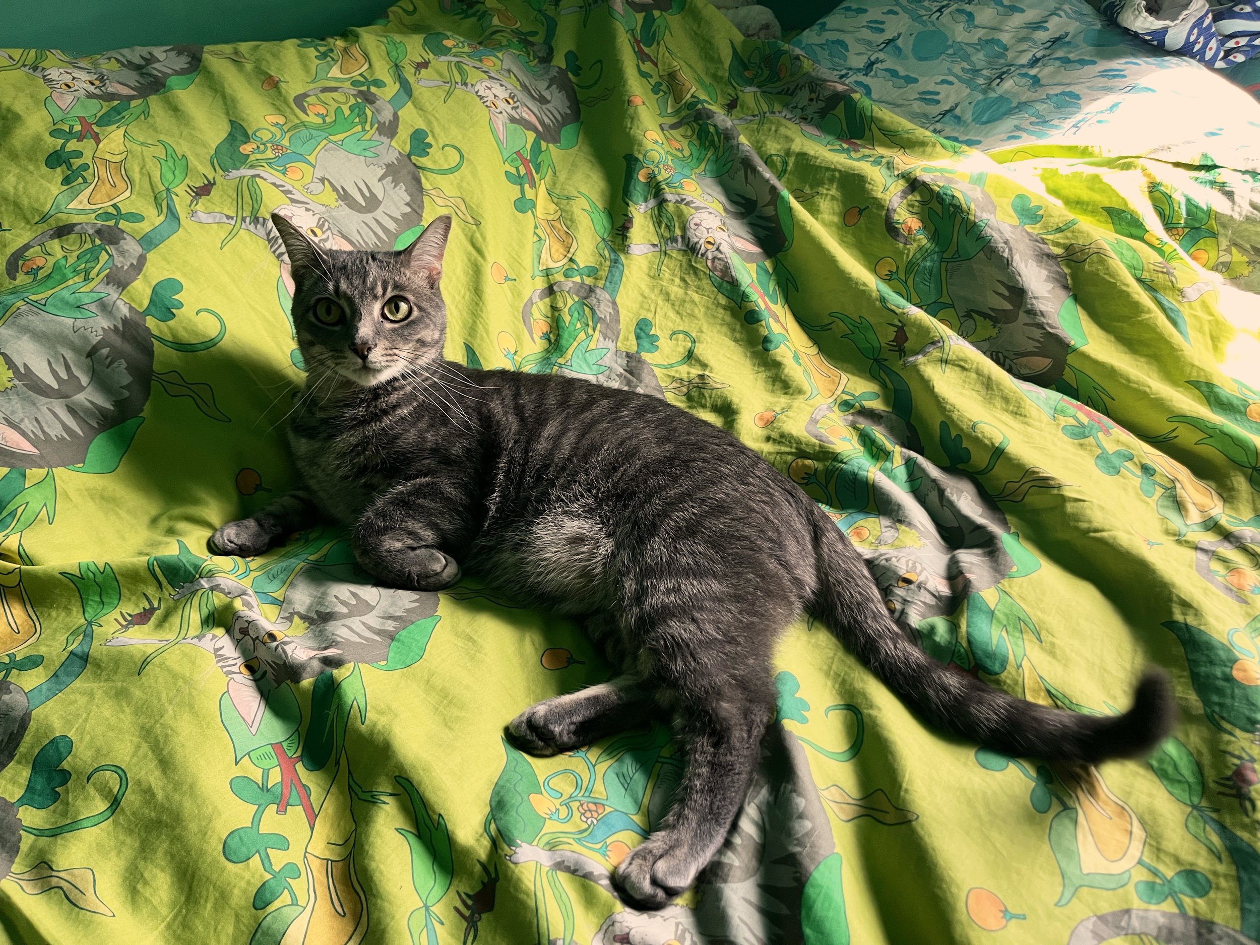 Ricky on Ricky Sheets.jpg