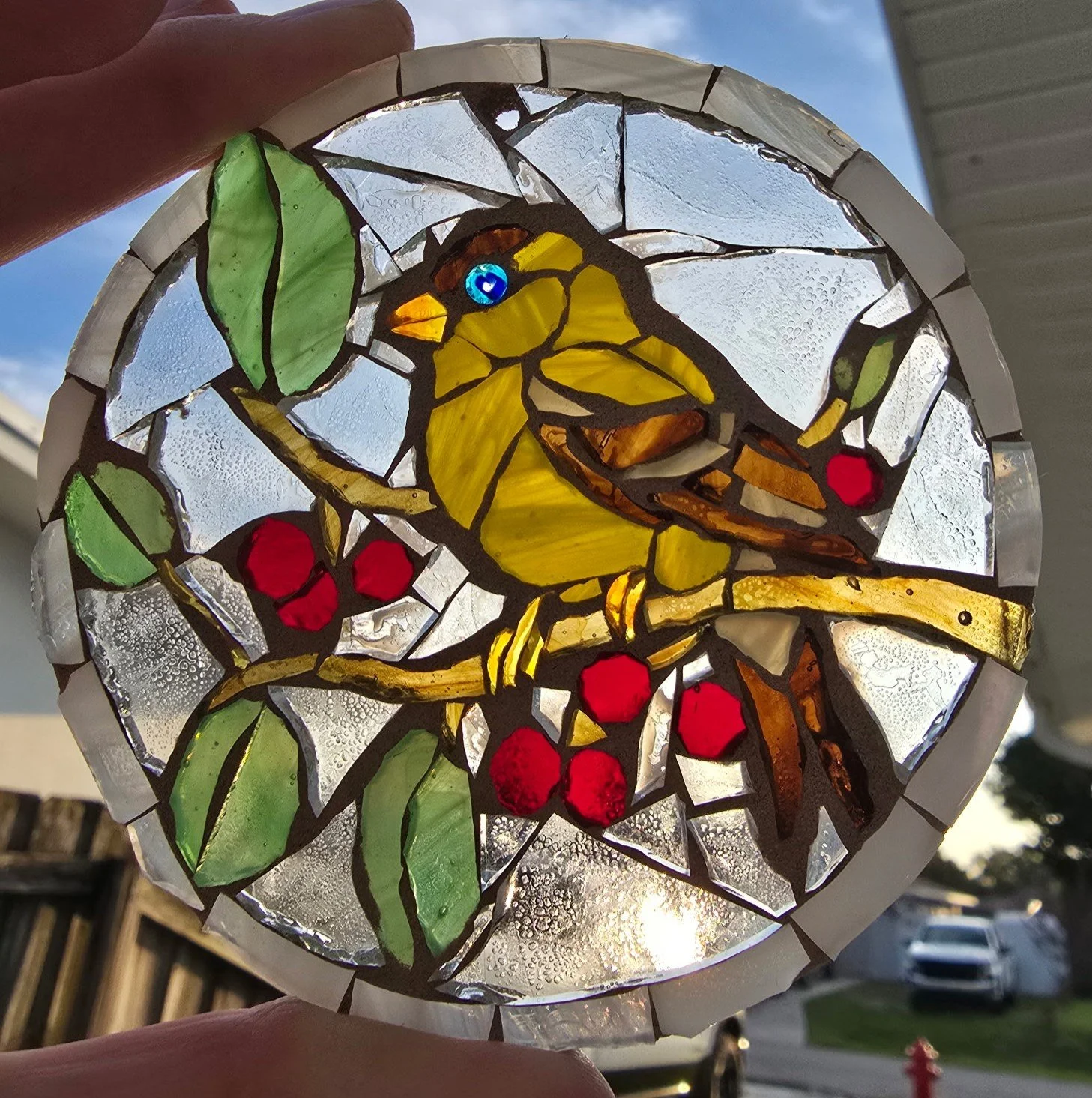 Yellow Finch